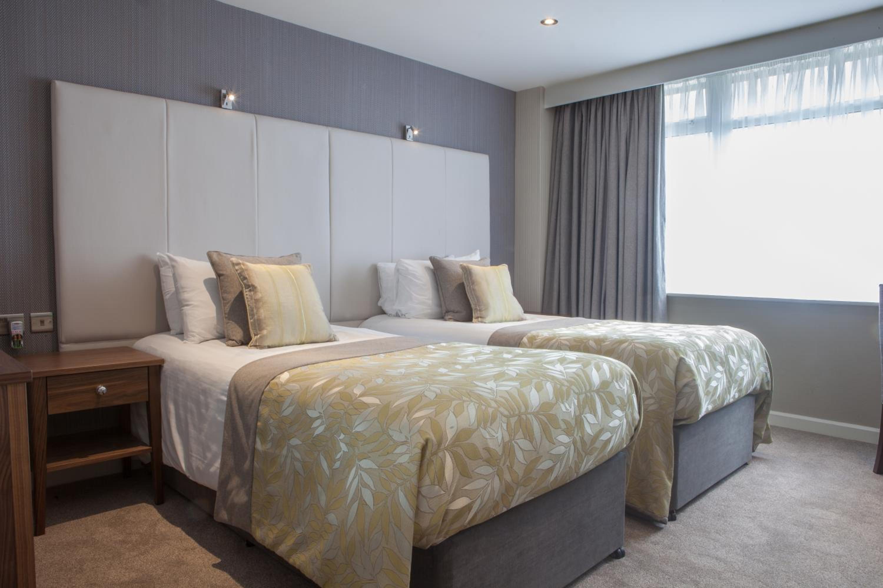 Comfort Double or Twin Room photo 1