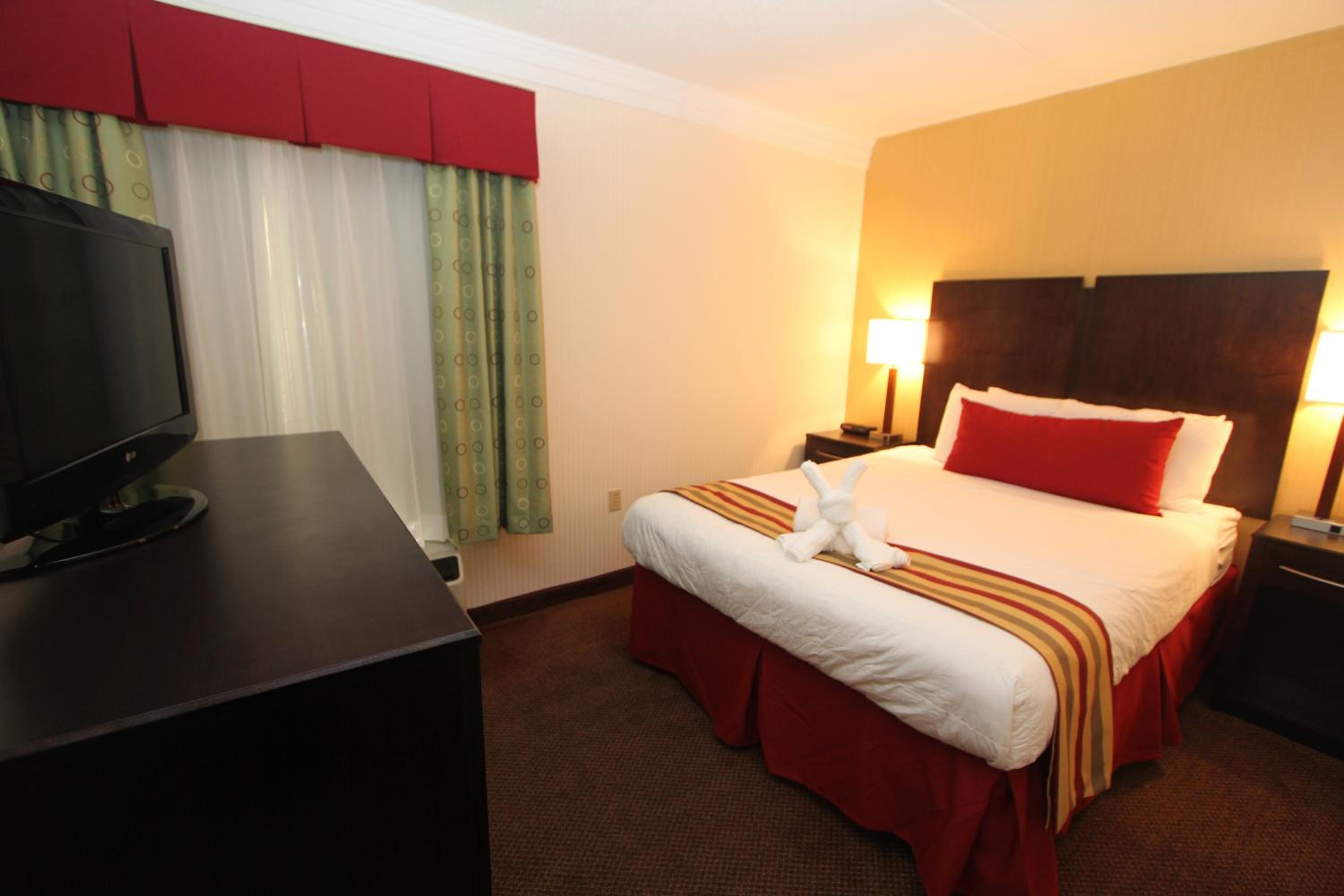 Queen Suite with Sofa Bed - Disability Access photo 1