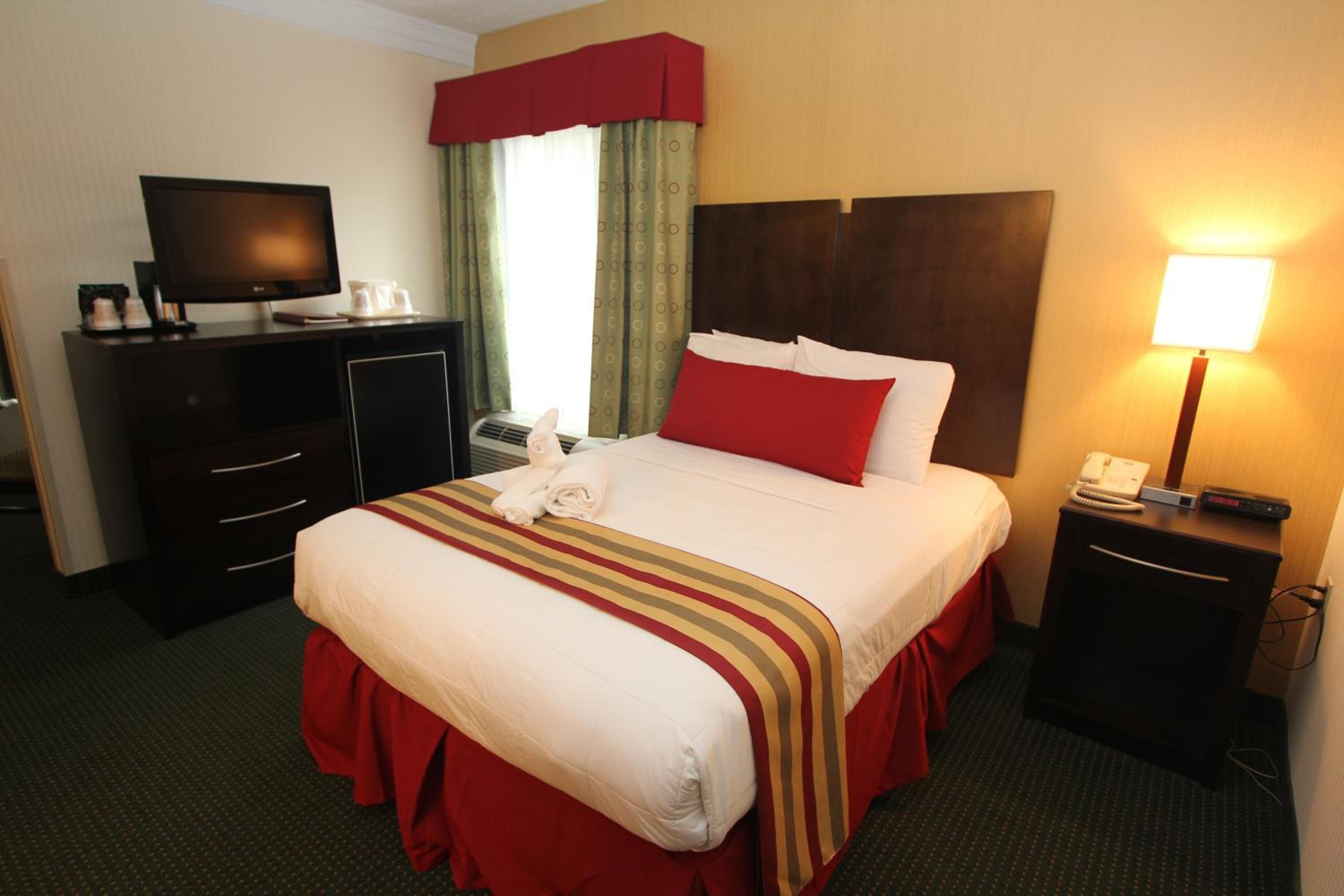 Double Suite with Sofa Bed photo 1