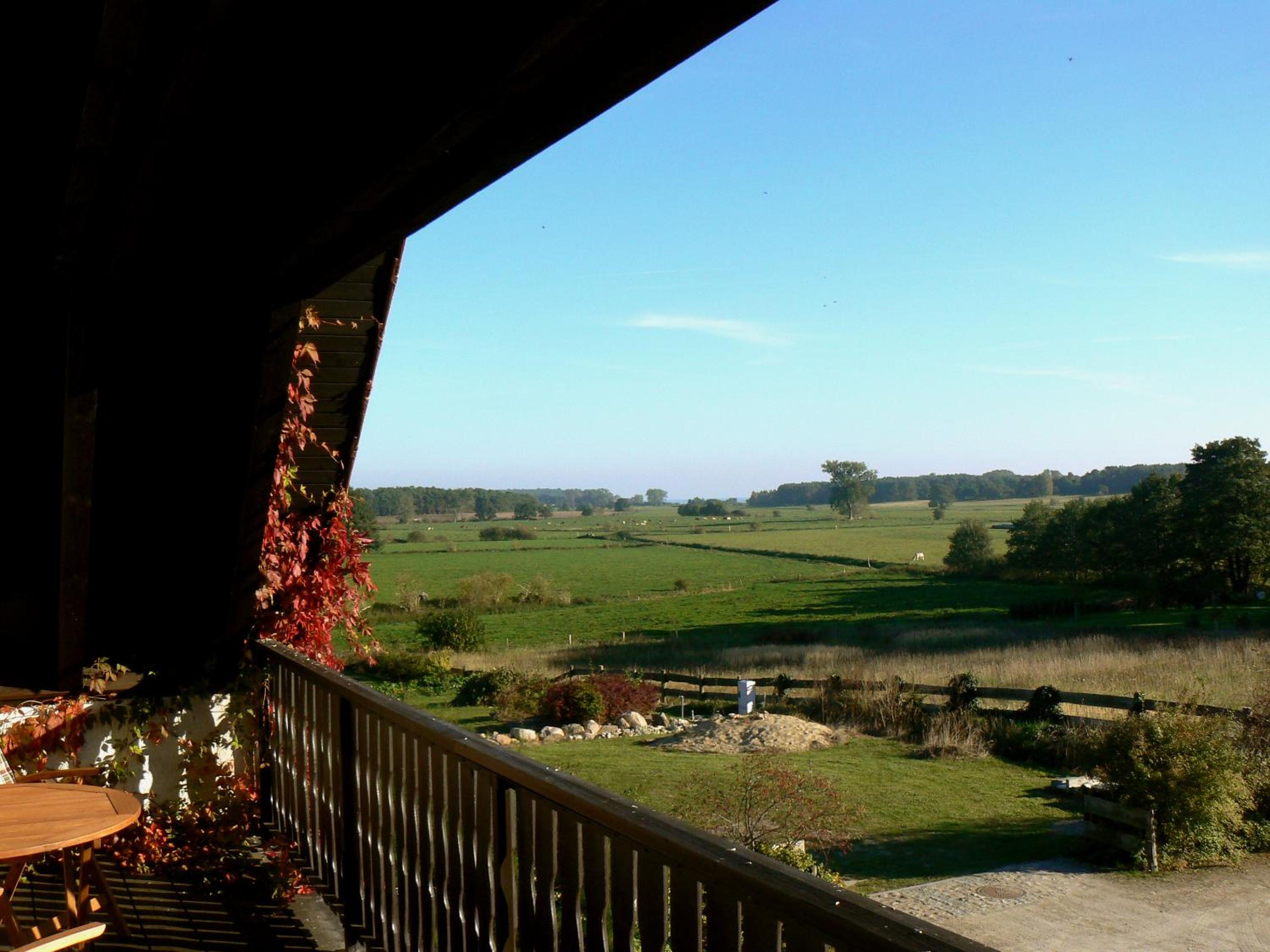 Apartment with Balcony photo 3