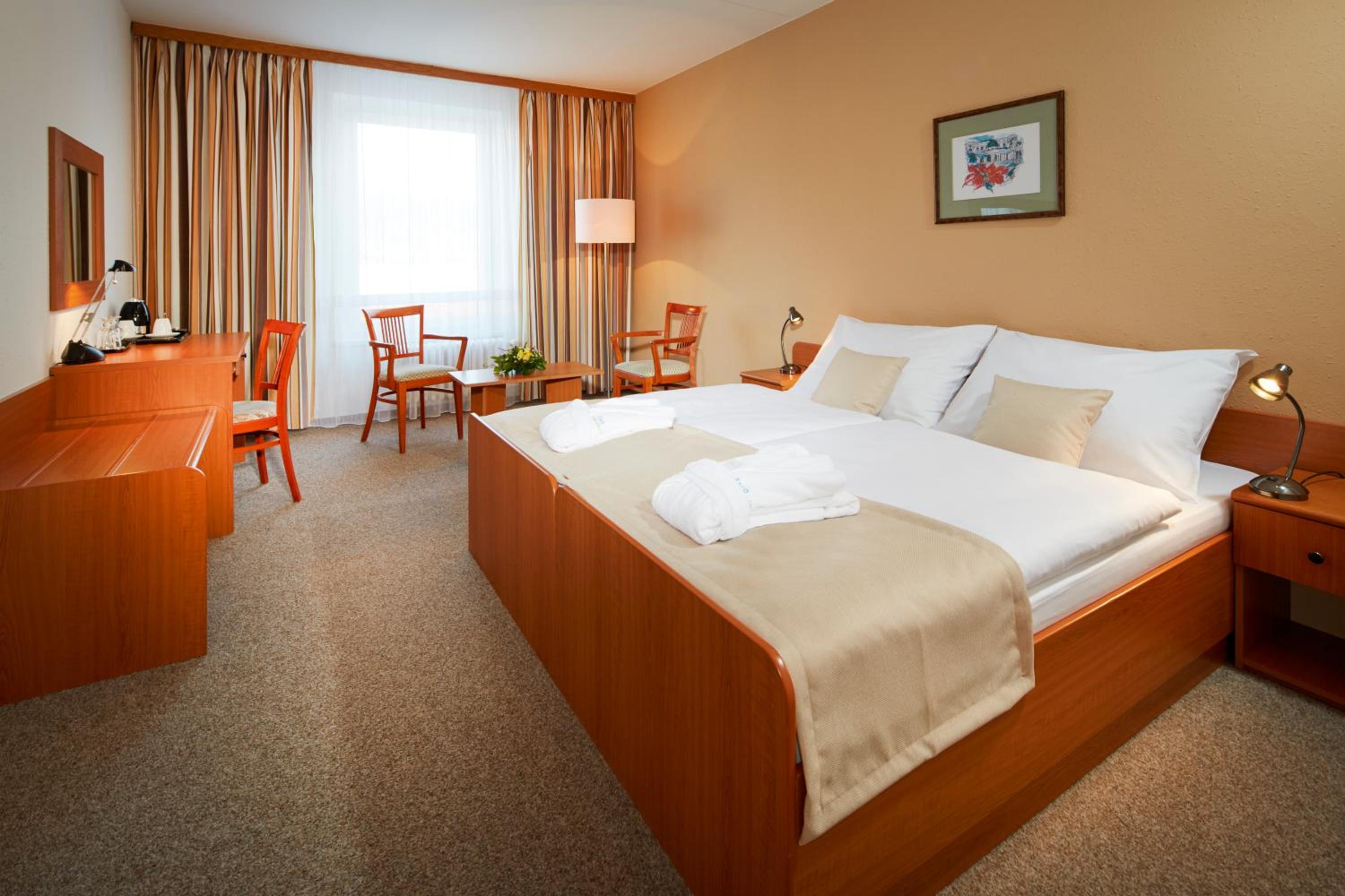 Superior Double or Twin Room with City View photo 1