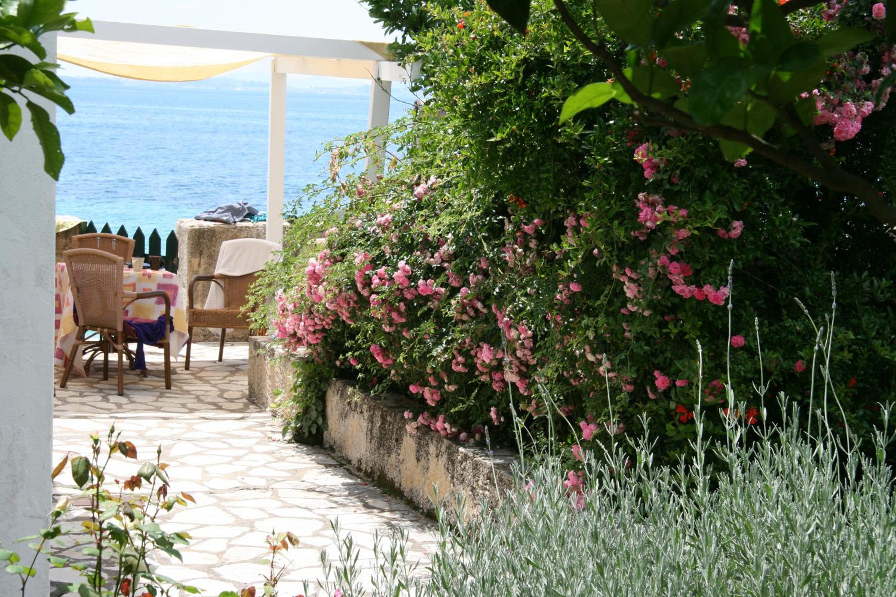 One-Bedroom Villa photo 2