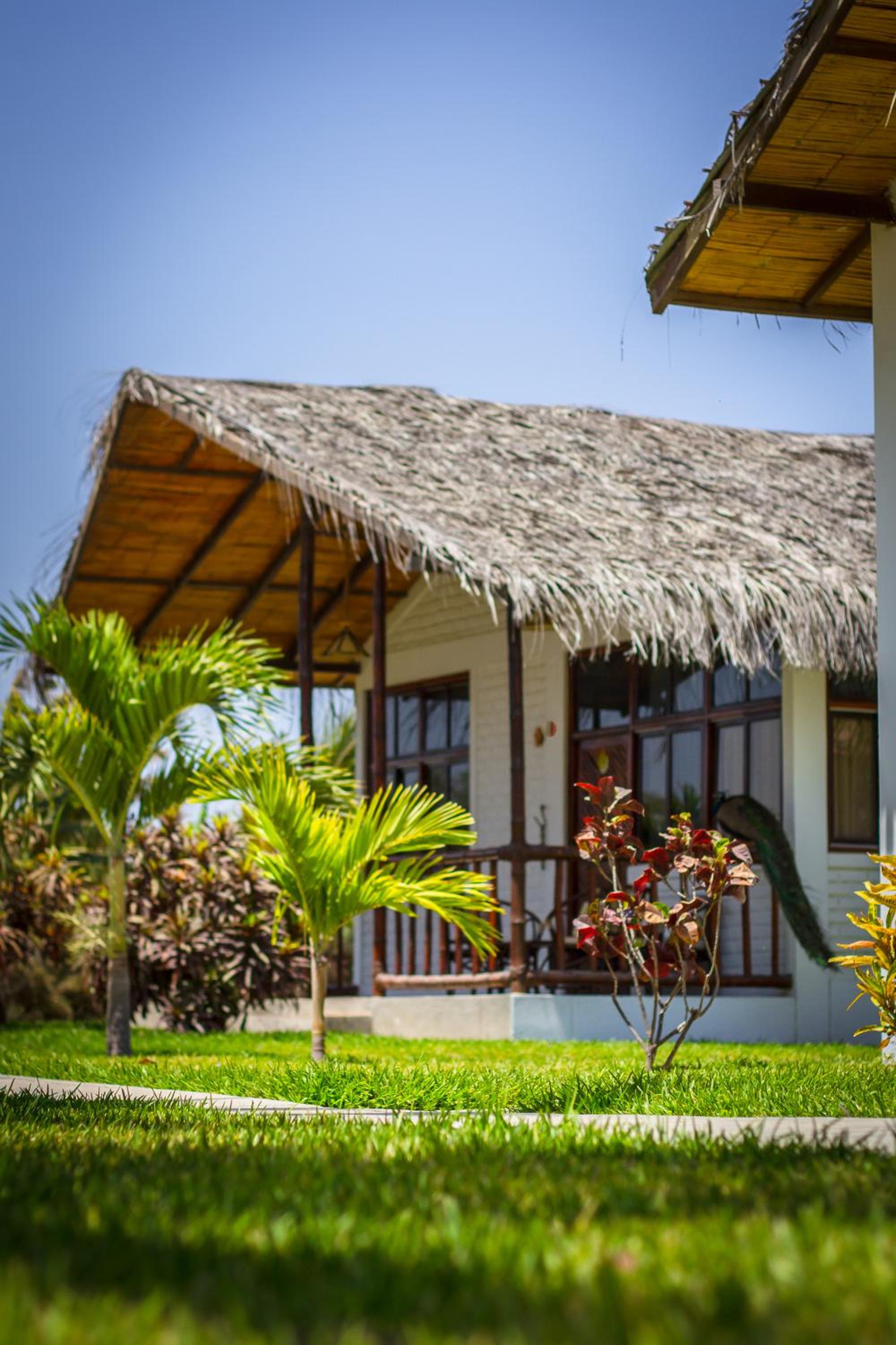 Family Bungalow photo 2