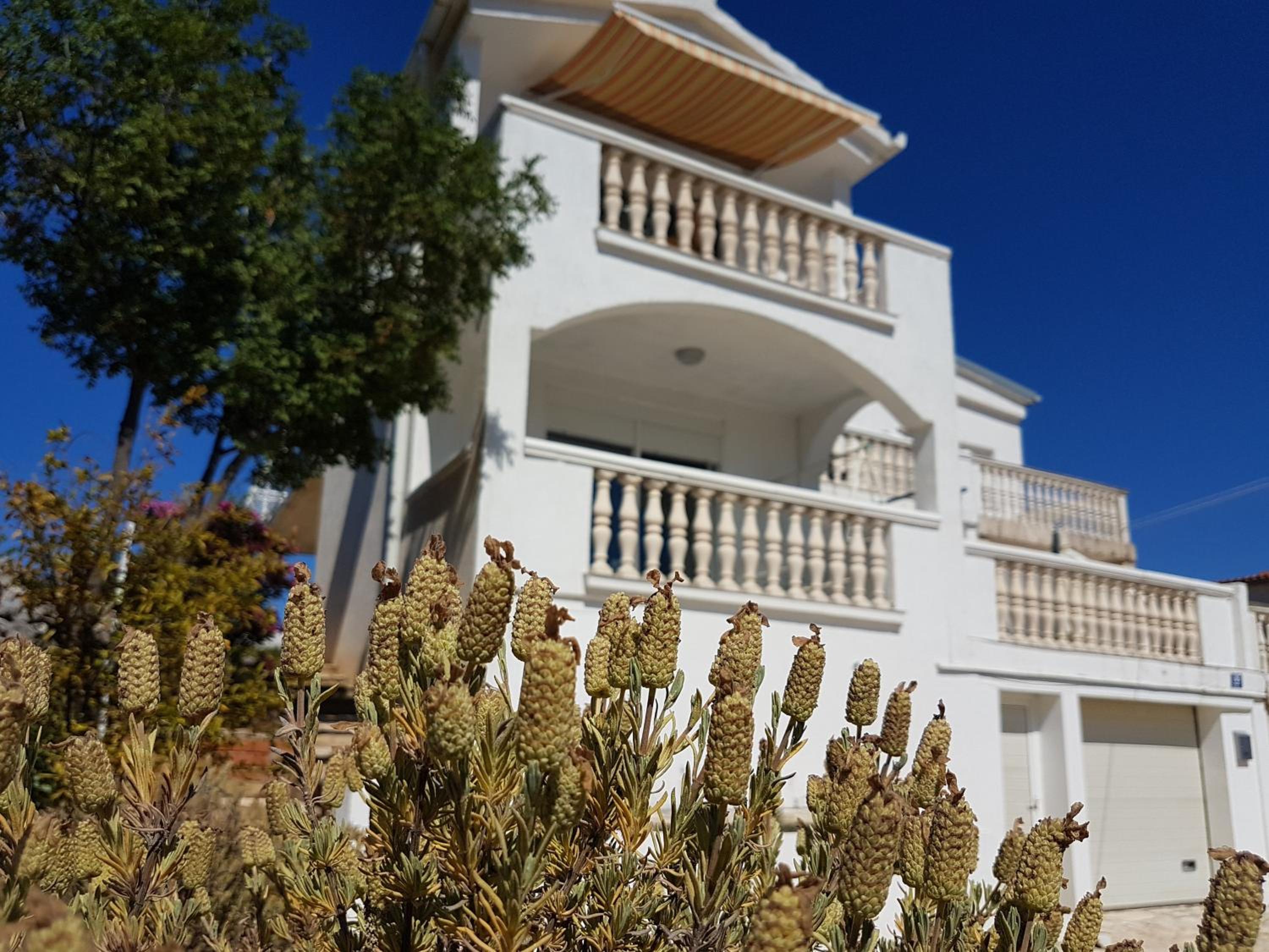Apartment with Sea View photo 3