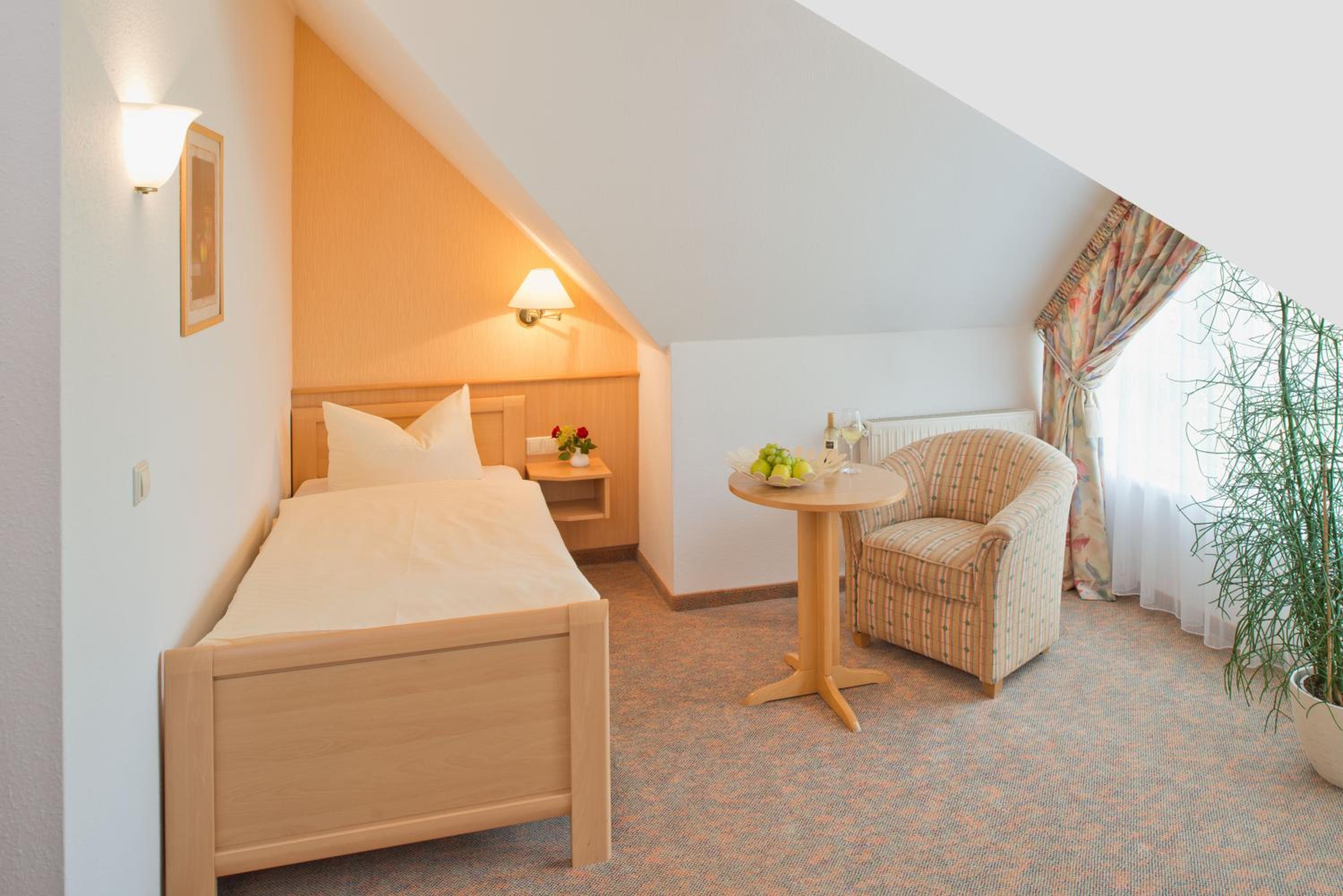Single Room photo 2
