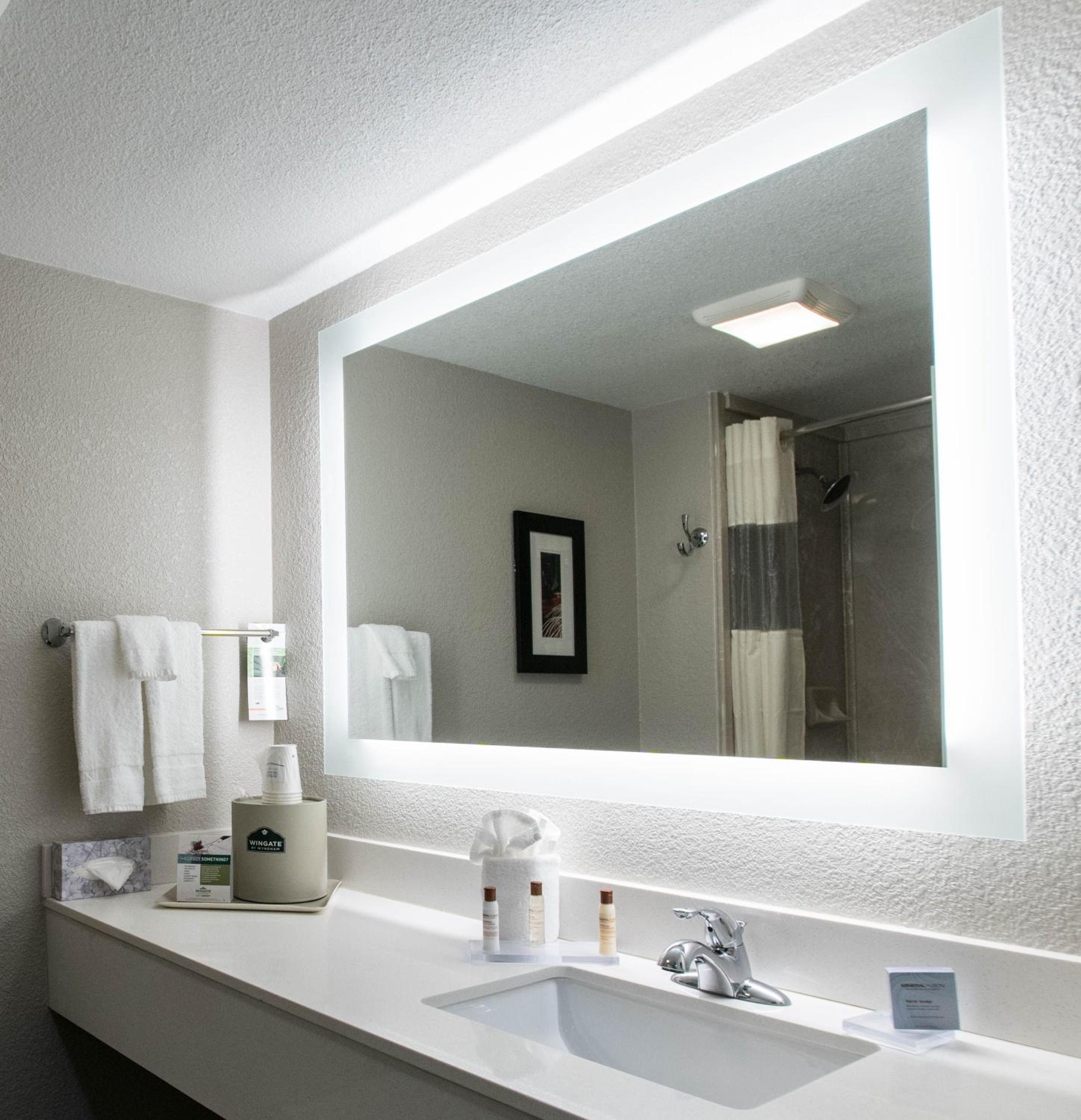 King Studio Suite - Non-Smoking - Photo 5