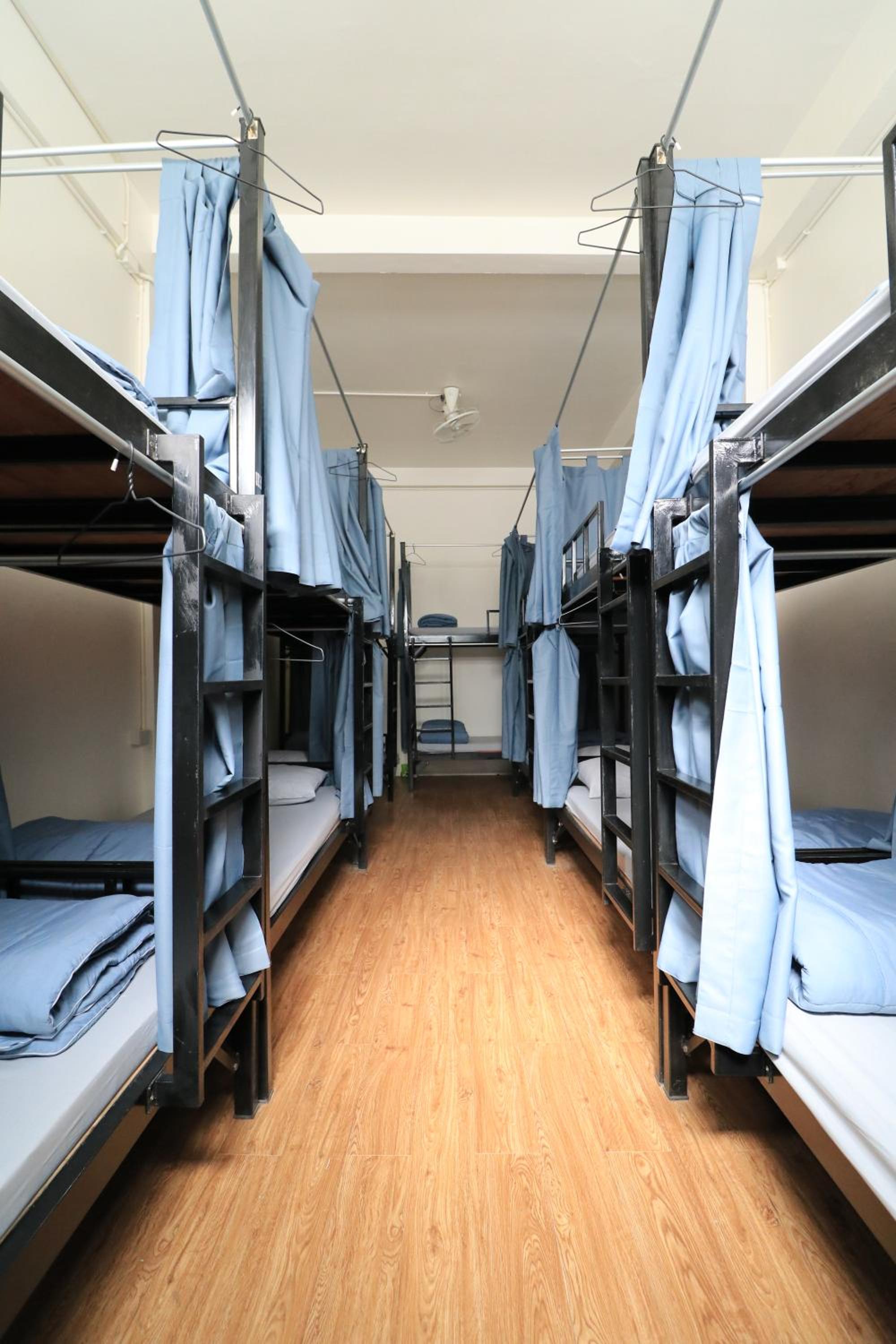 Bunk Bed in Mixed Dormitory Room photo 1