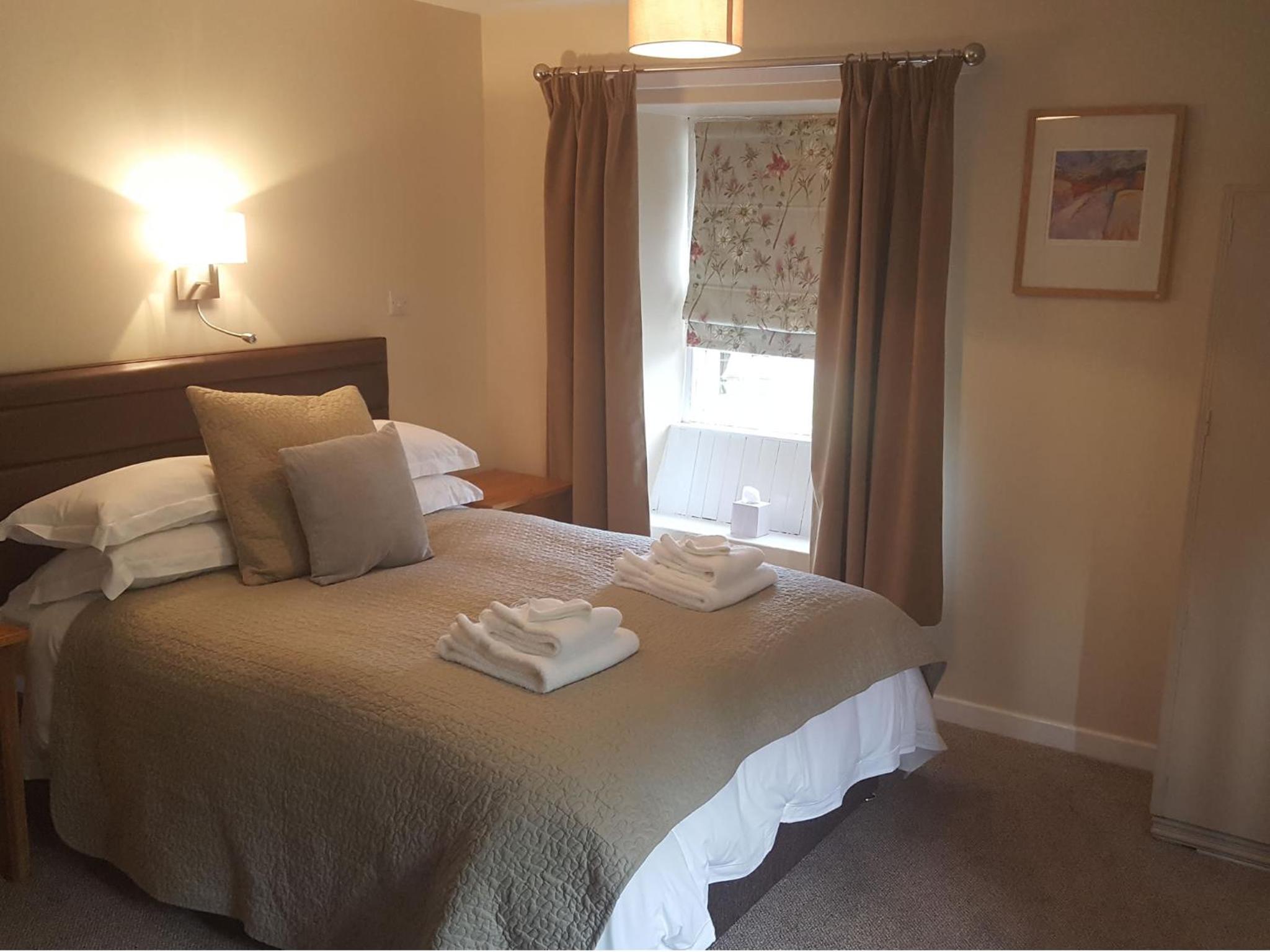 Superior King Room with Shower "Not Pet Friendly" photo 3