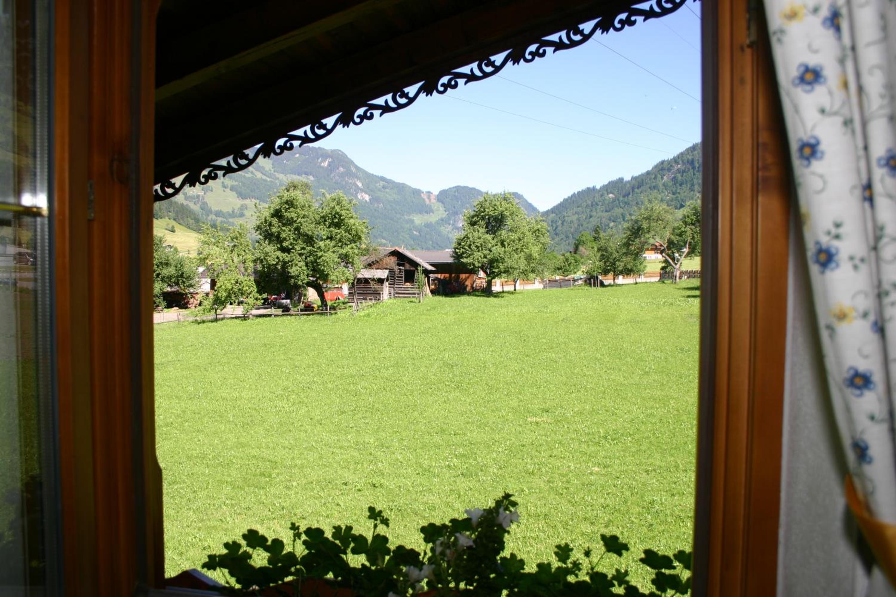 Large One-Bedroom Apartment with Balcony photo 2