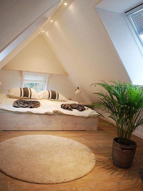Apartment - Split Level photo 1