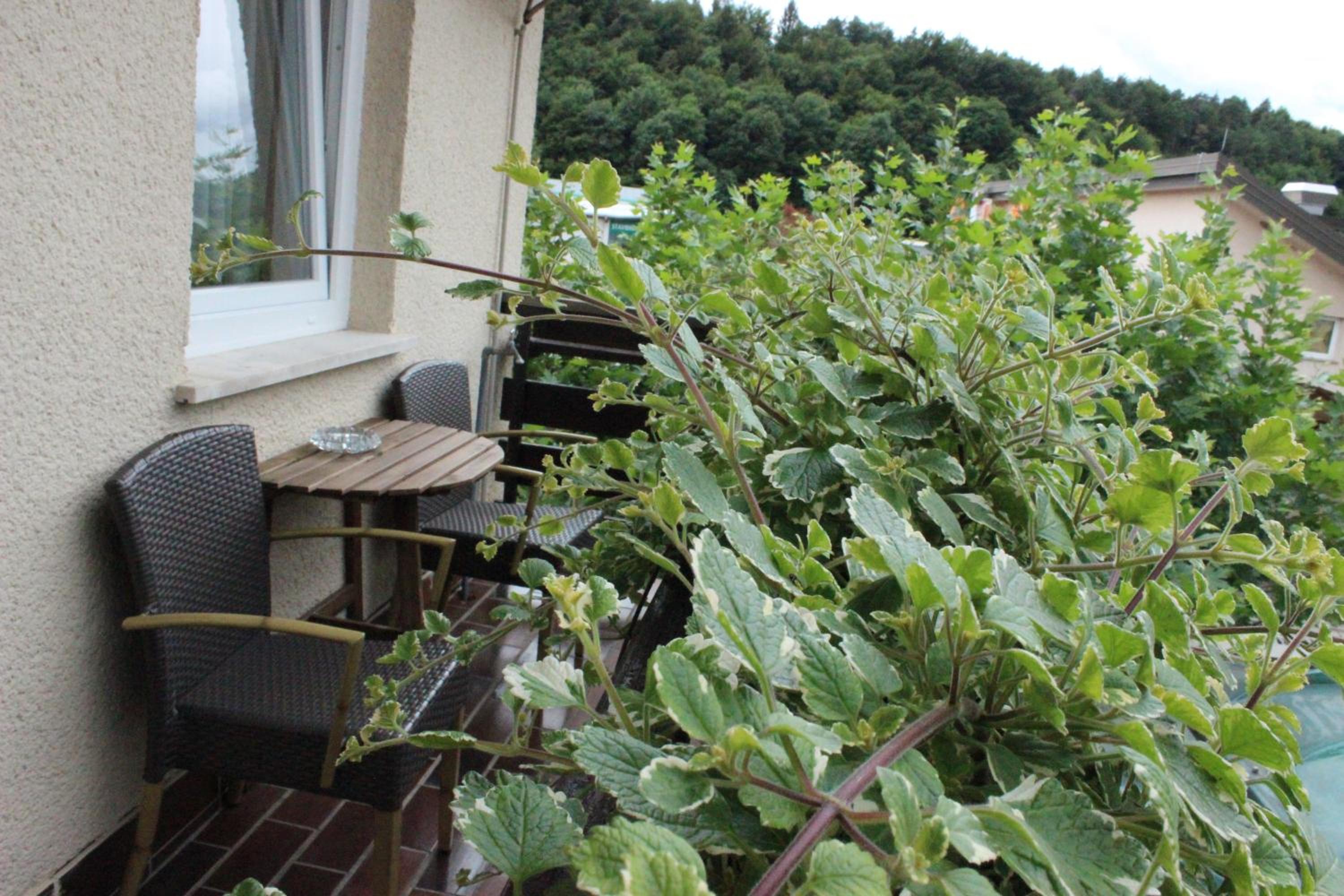 Double Room with Balcony photo 2