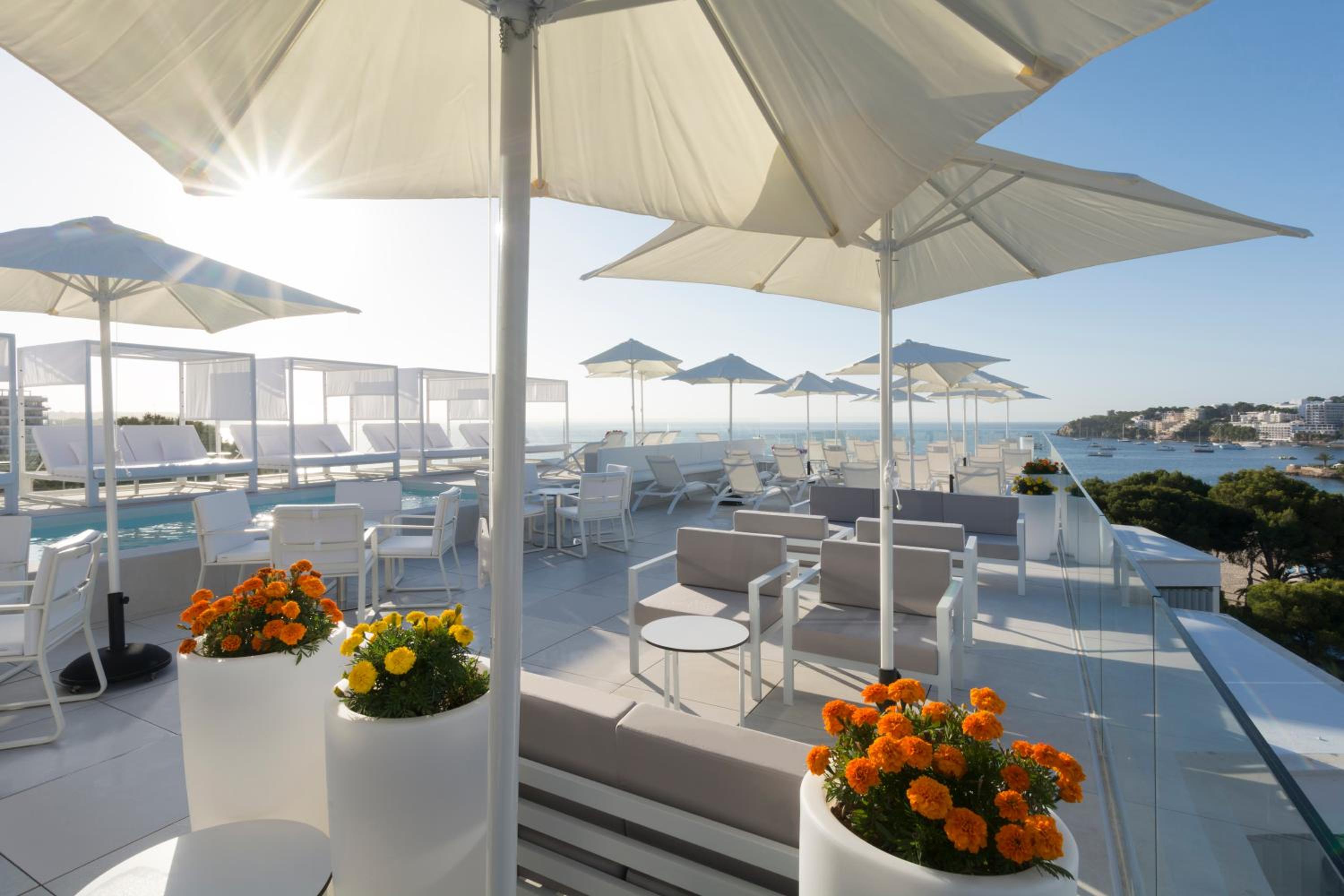 Privilege Suite with Executive Lounge Access