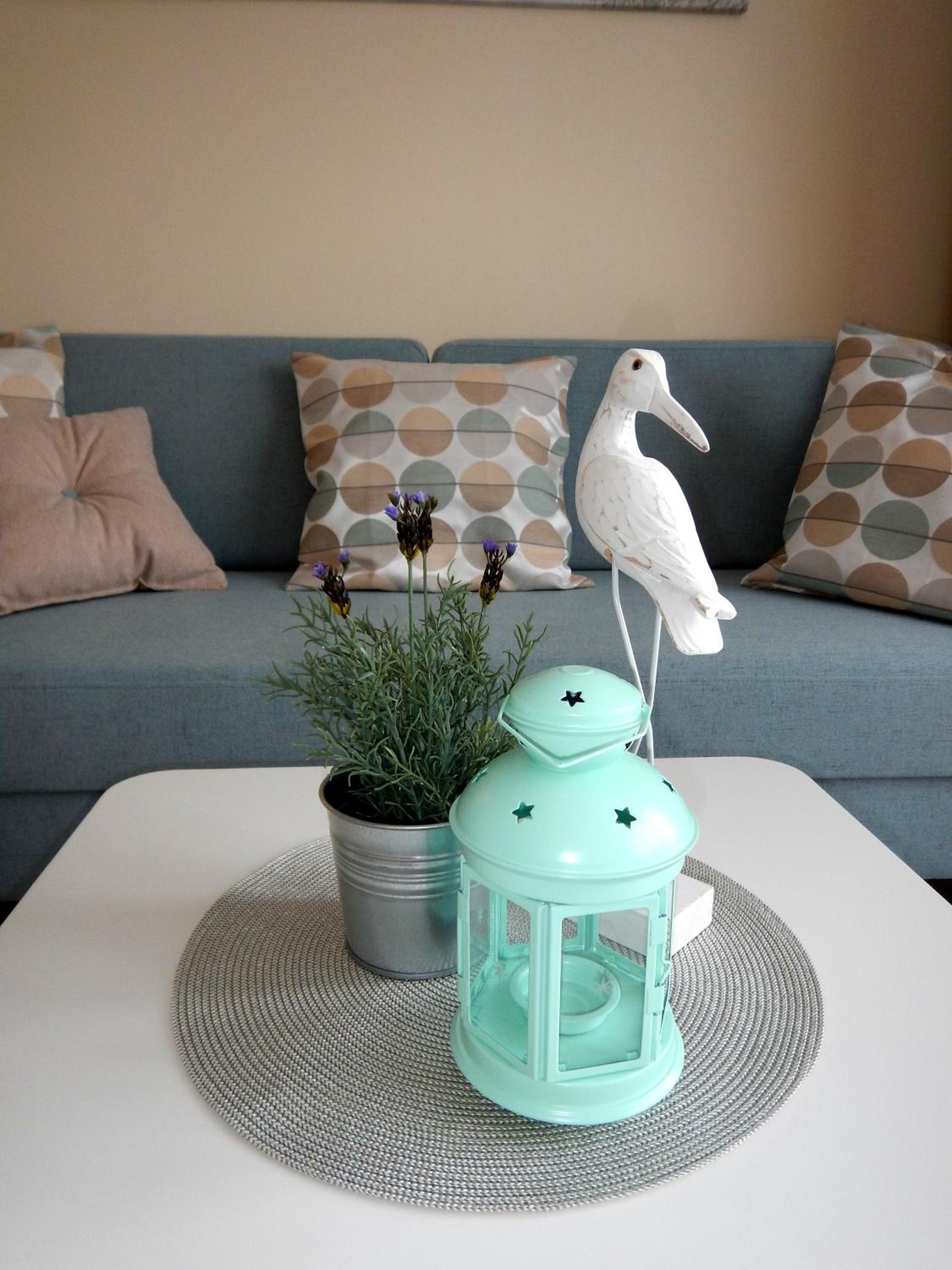 Apartment with Terrace photo 2