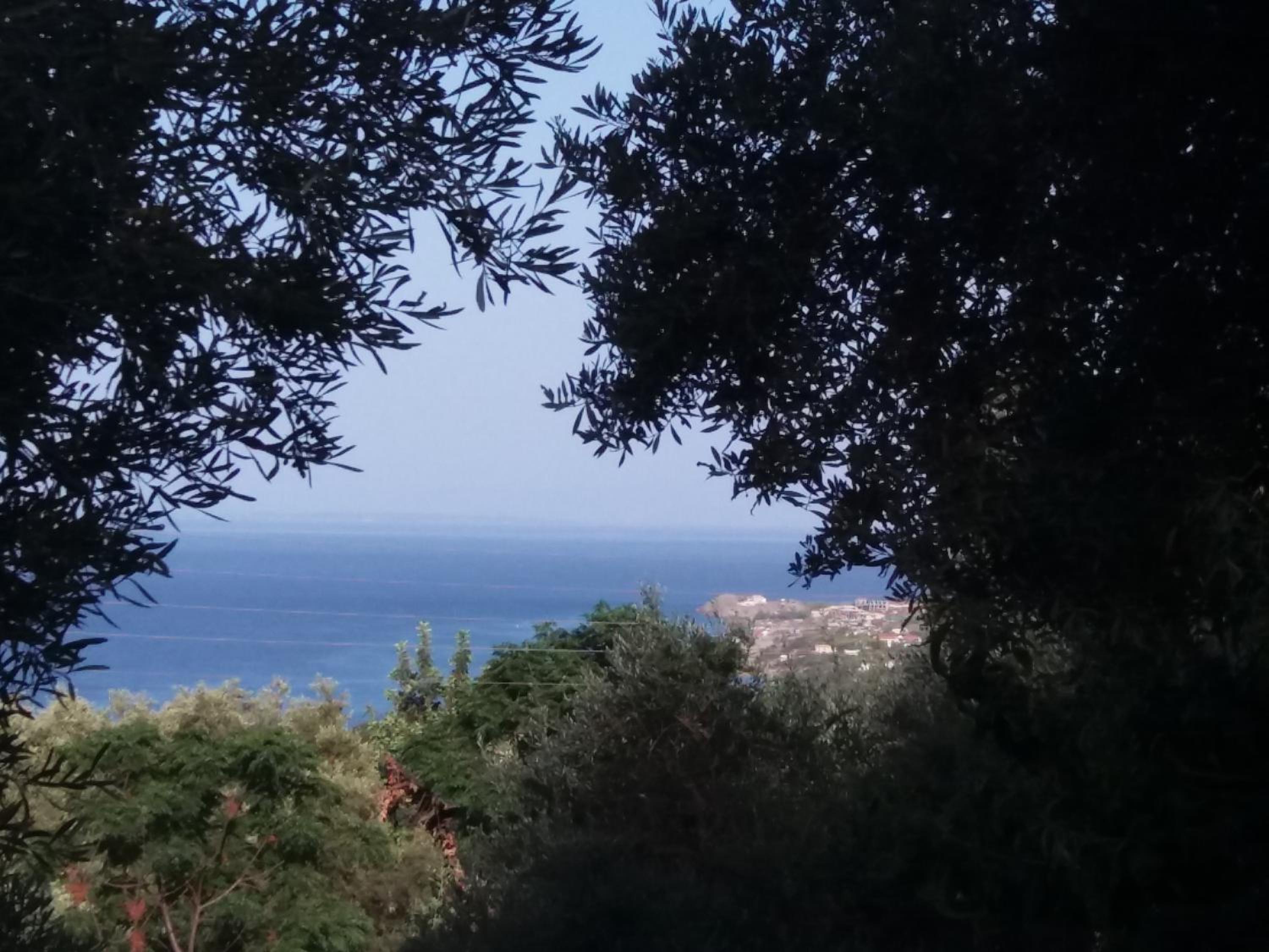  One-Bedroom Apartment  (3 Adults) with Sea View - Photo 3