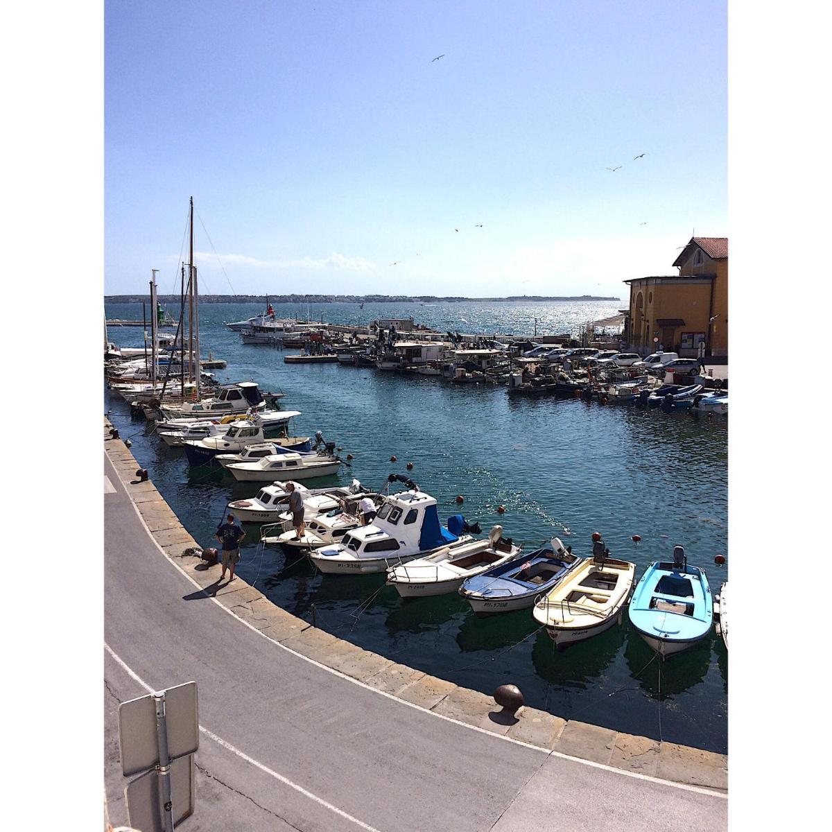 Apartment with Sea View - Photo 3