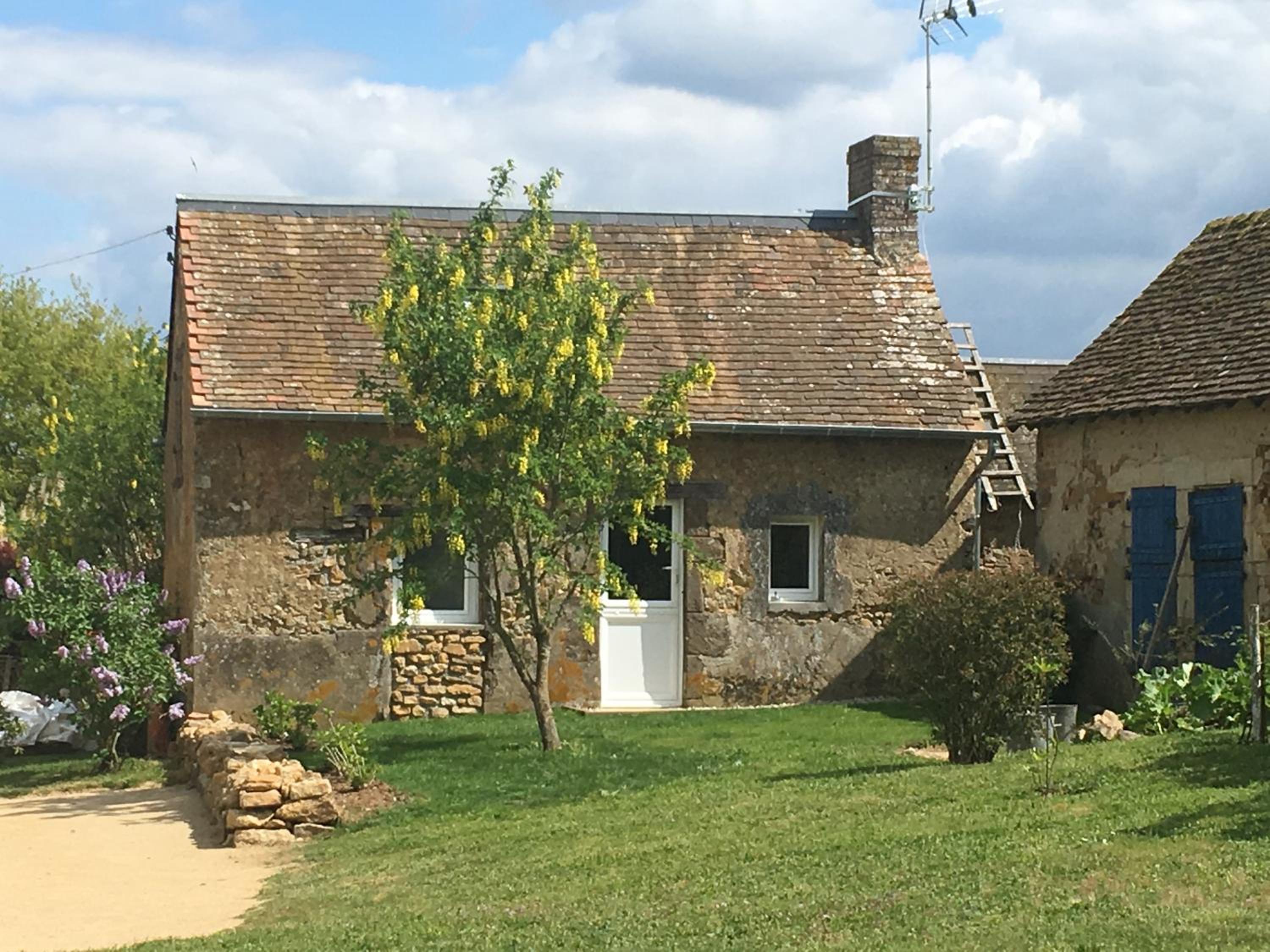 Studio with Garden View - Photo 1