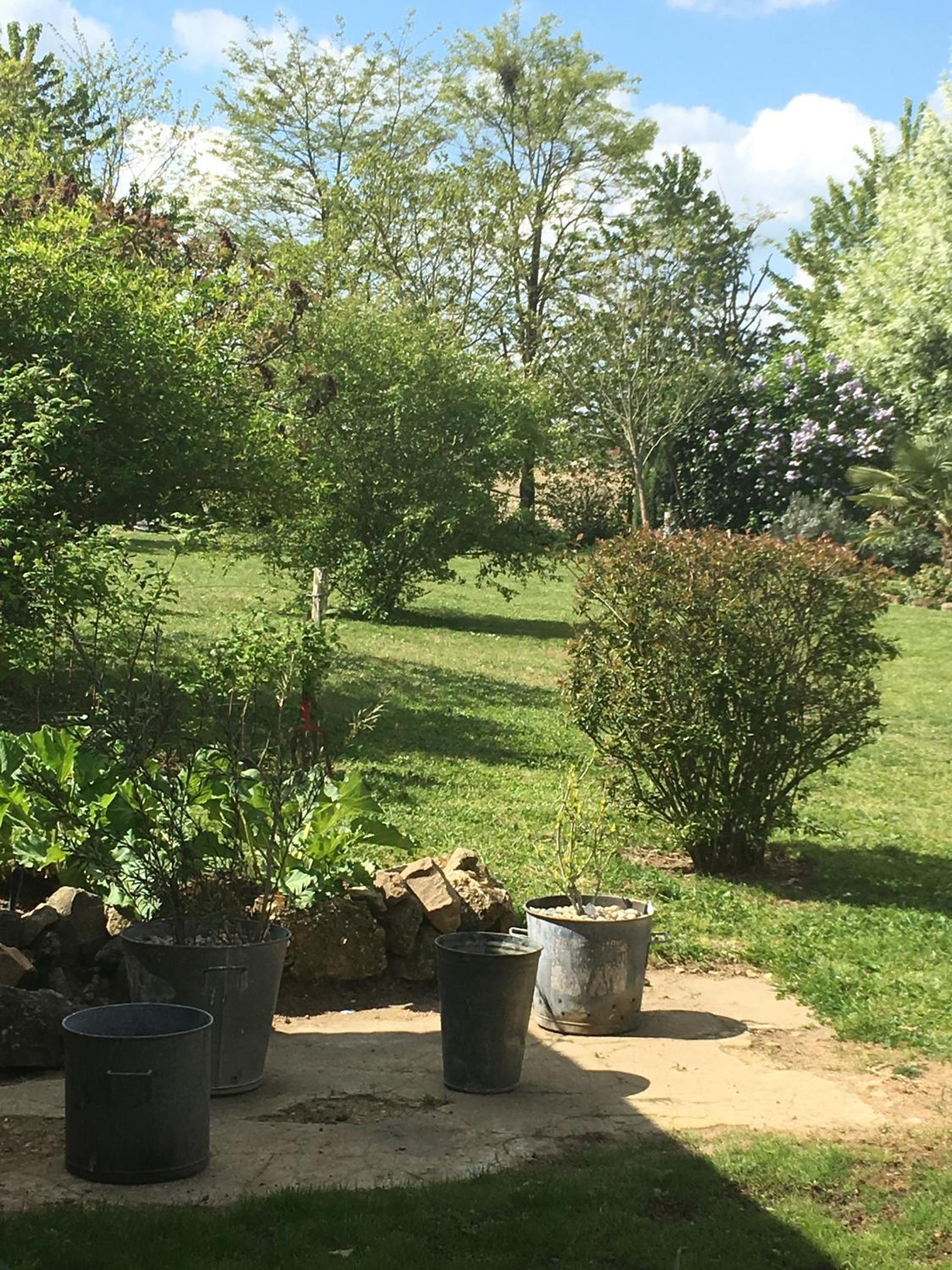 Studio with Garden View - Photo 5