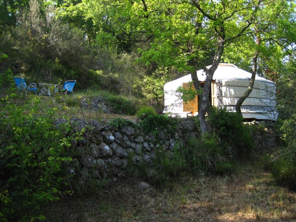 Yurt n°3 photo 3