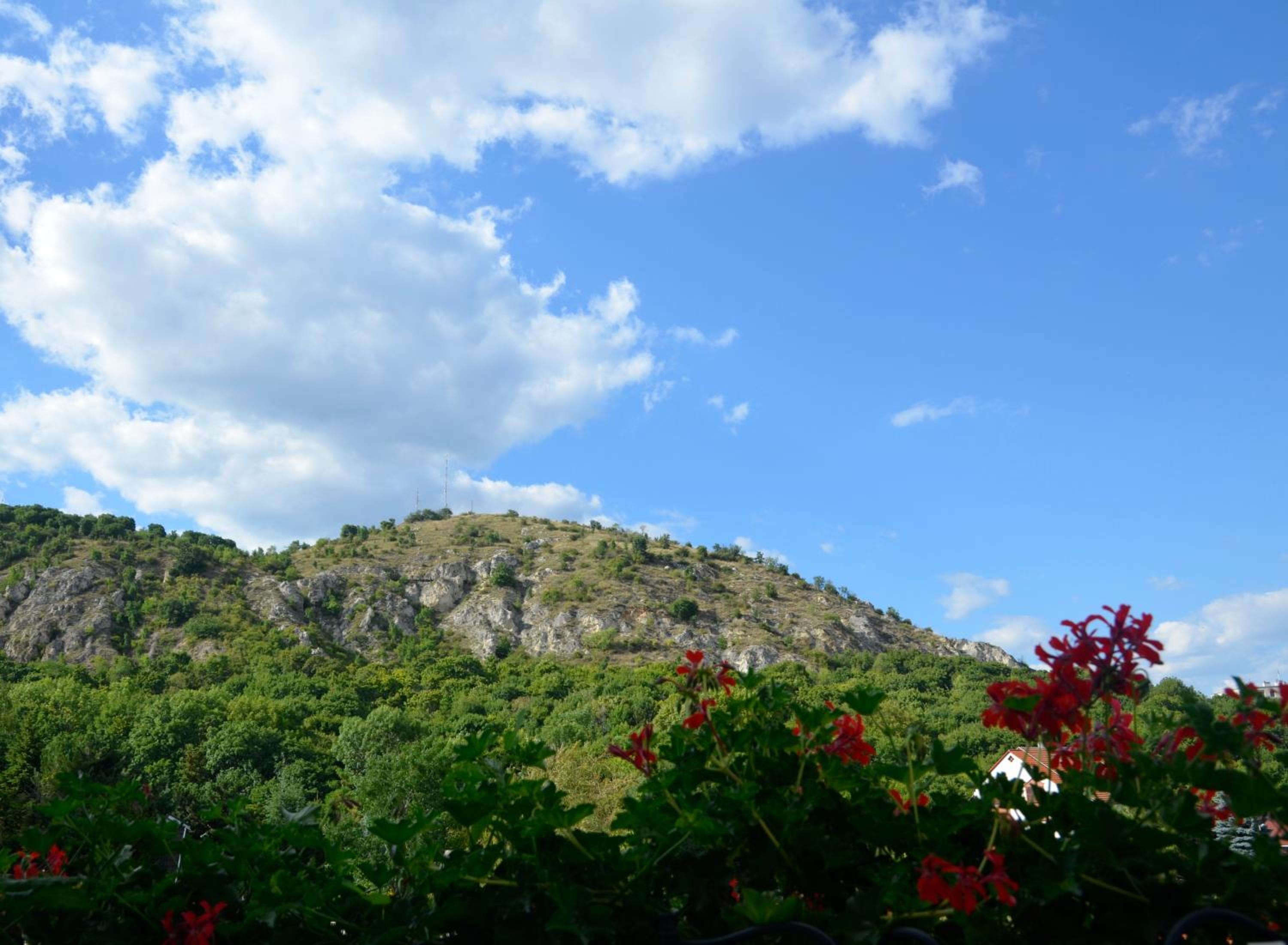 Double Room with Mountain View - Photo 2