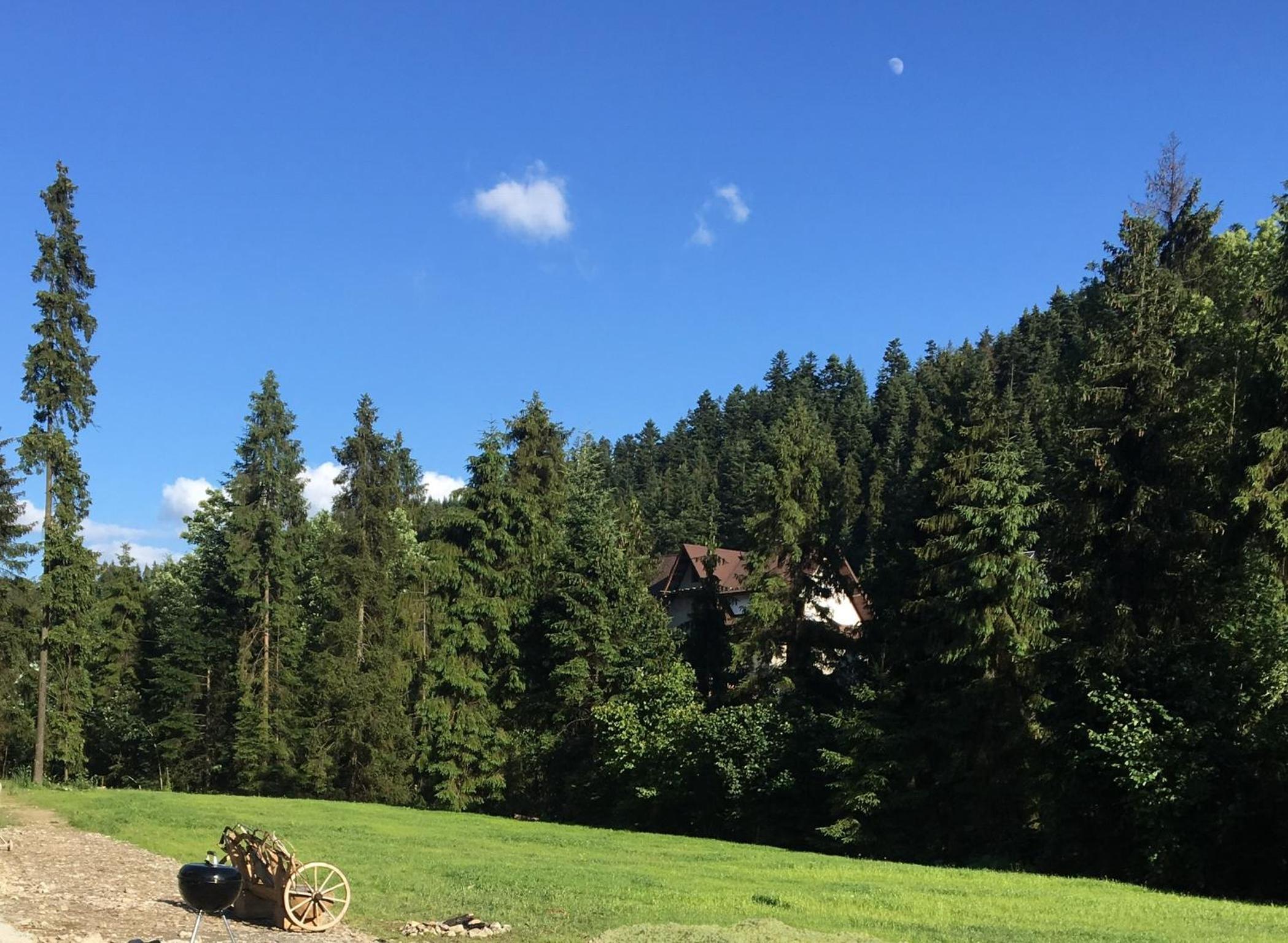 Vacation Home photo 2