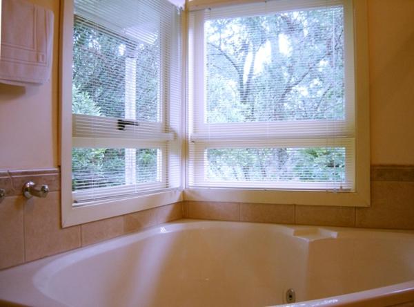 Deluxe Suite with Spa Bath photo 3