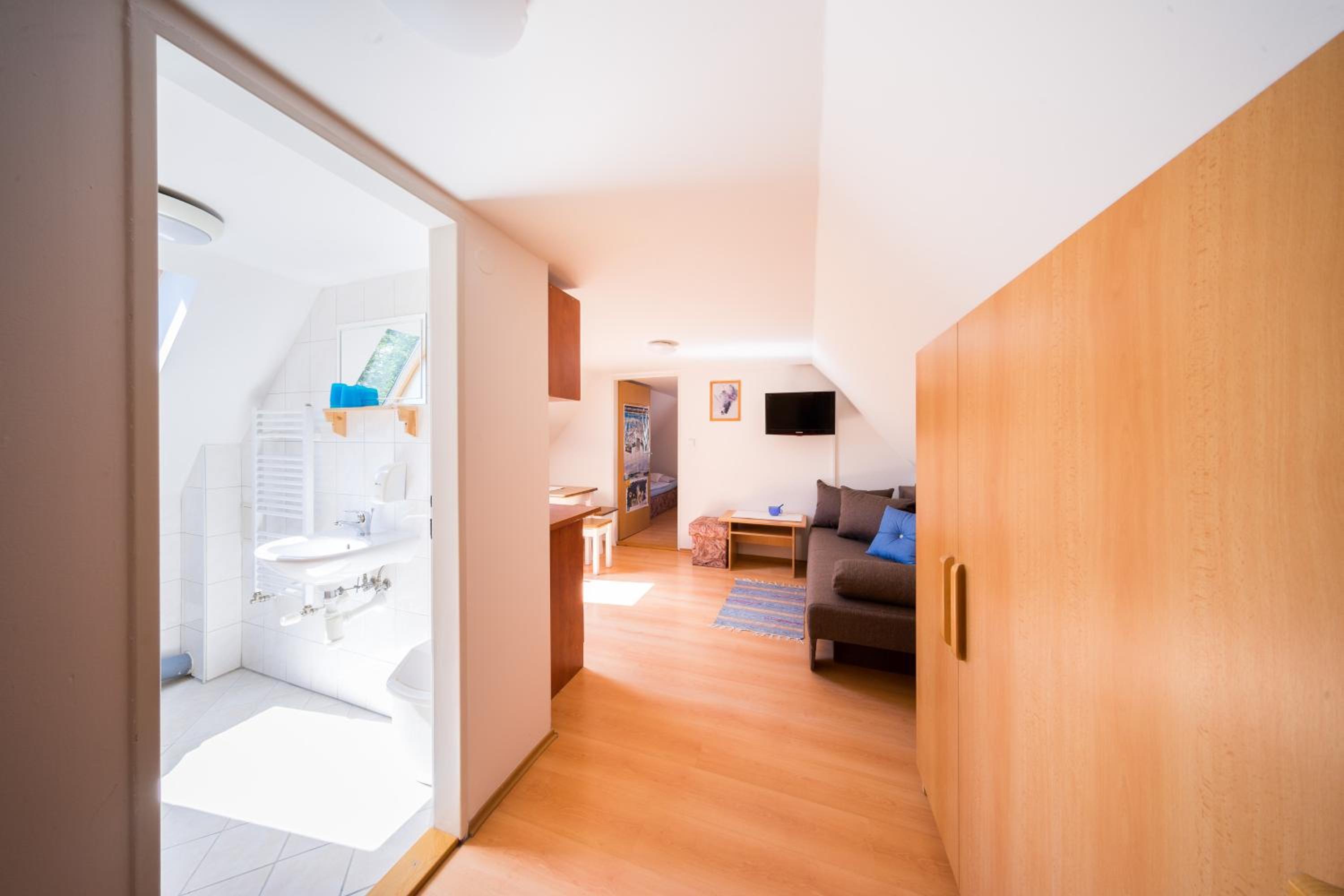 Apartment with Shower photo 1