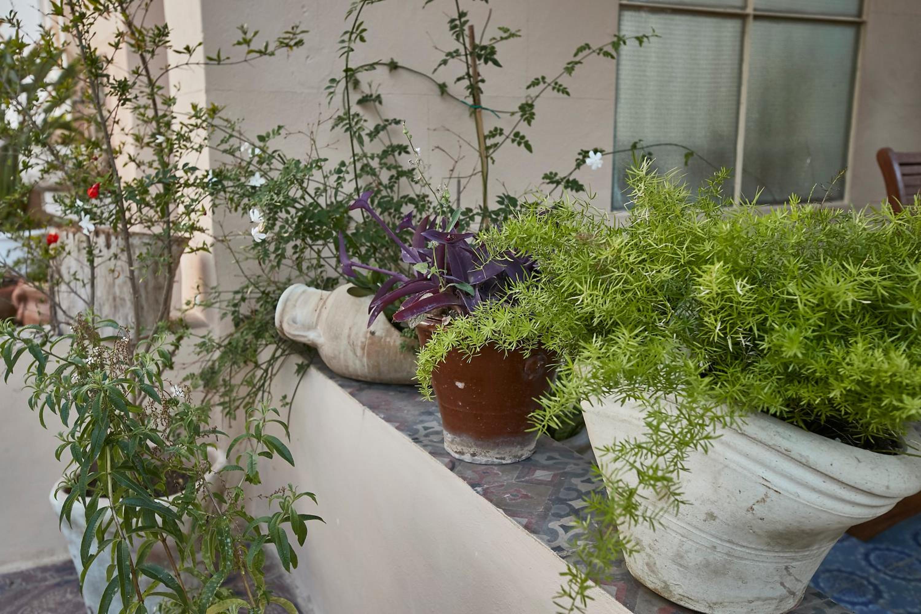 Apartment - Ground Floor - Photo 22
