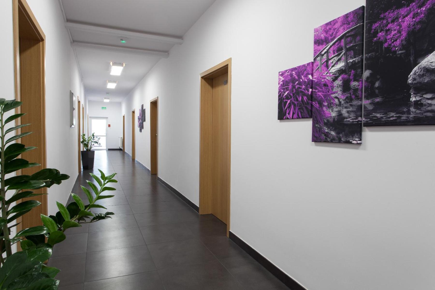 Single Room - Disability Access photo 2