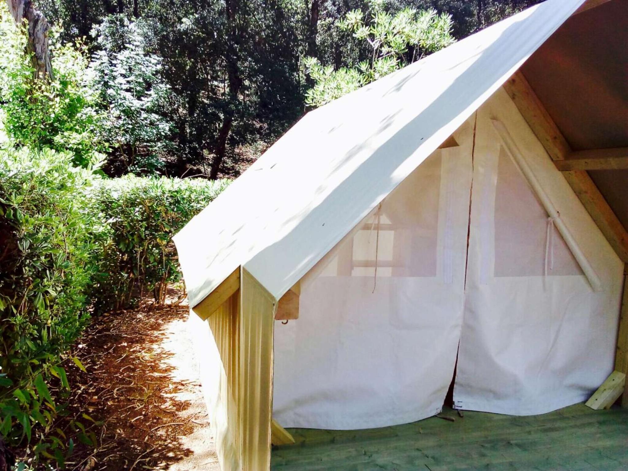 Tent photo 2