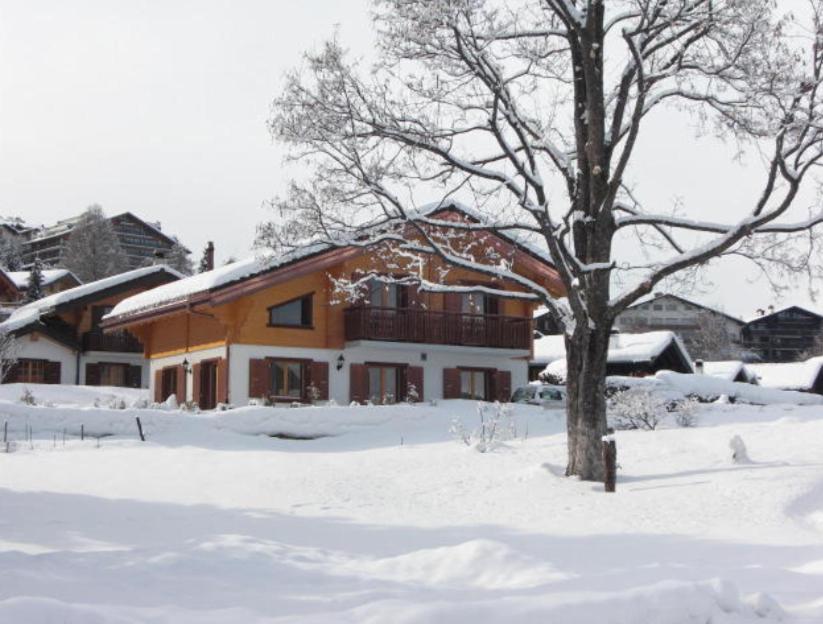 Four-Bedroom Chalet (8 Adults) photo 1
