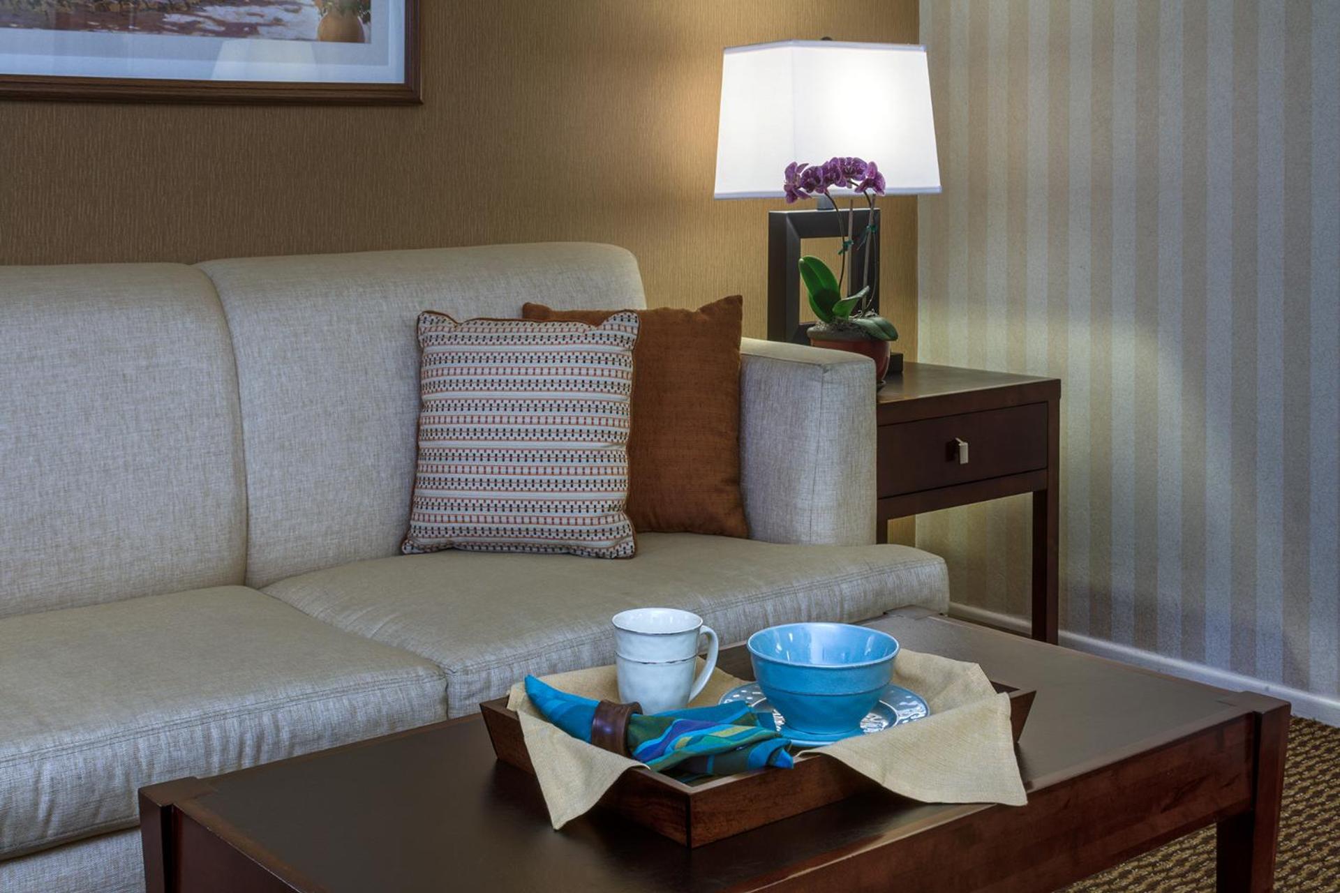 Deluxe King Suite - Non-Smoking - Photo 7