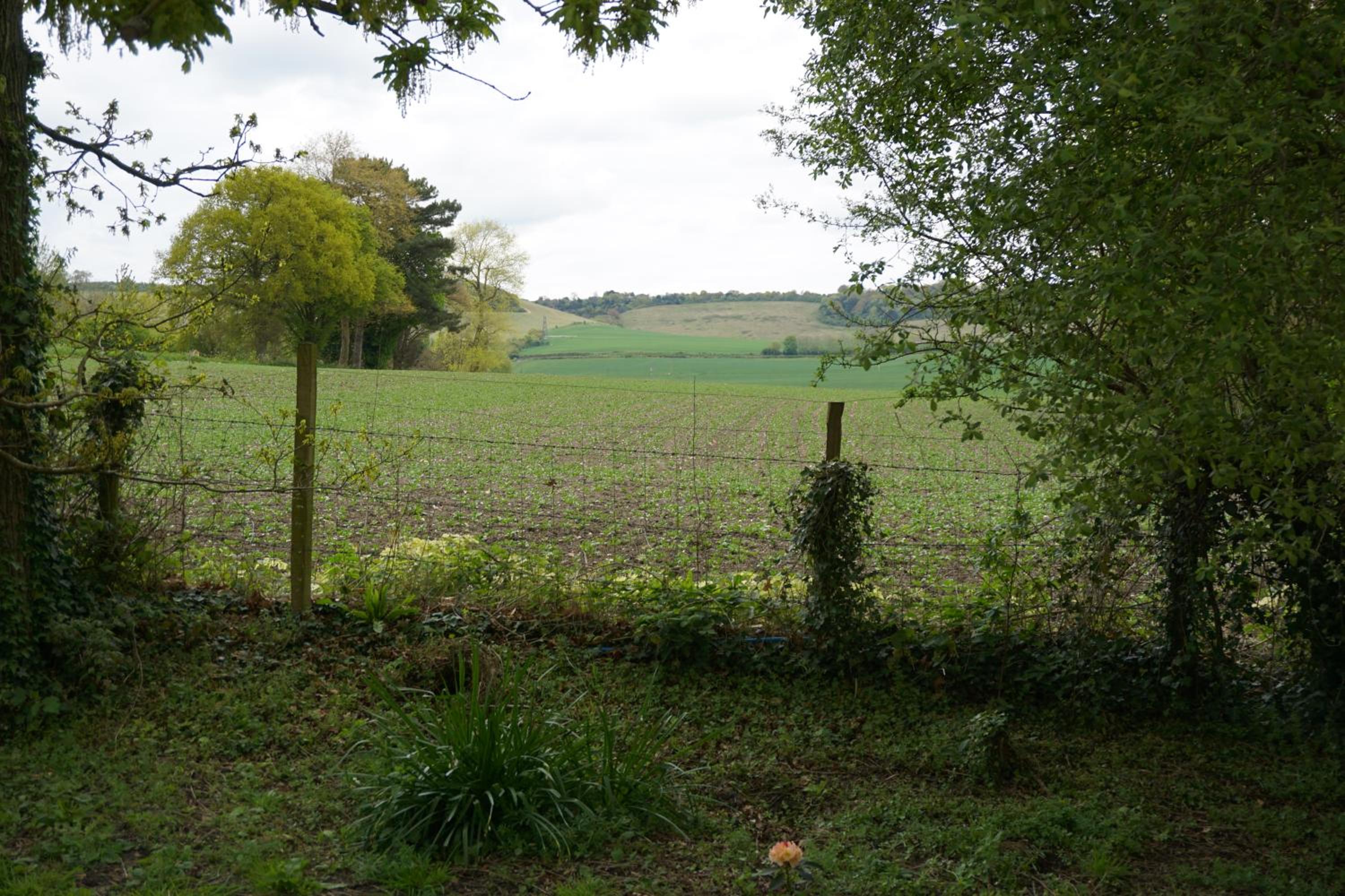 Vacation Home - Photo 1