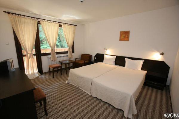 Double or Twin Room with Mountain View - Photo 10