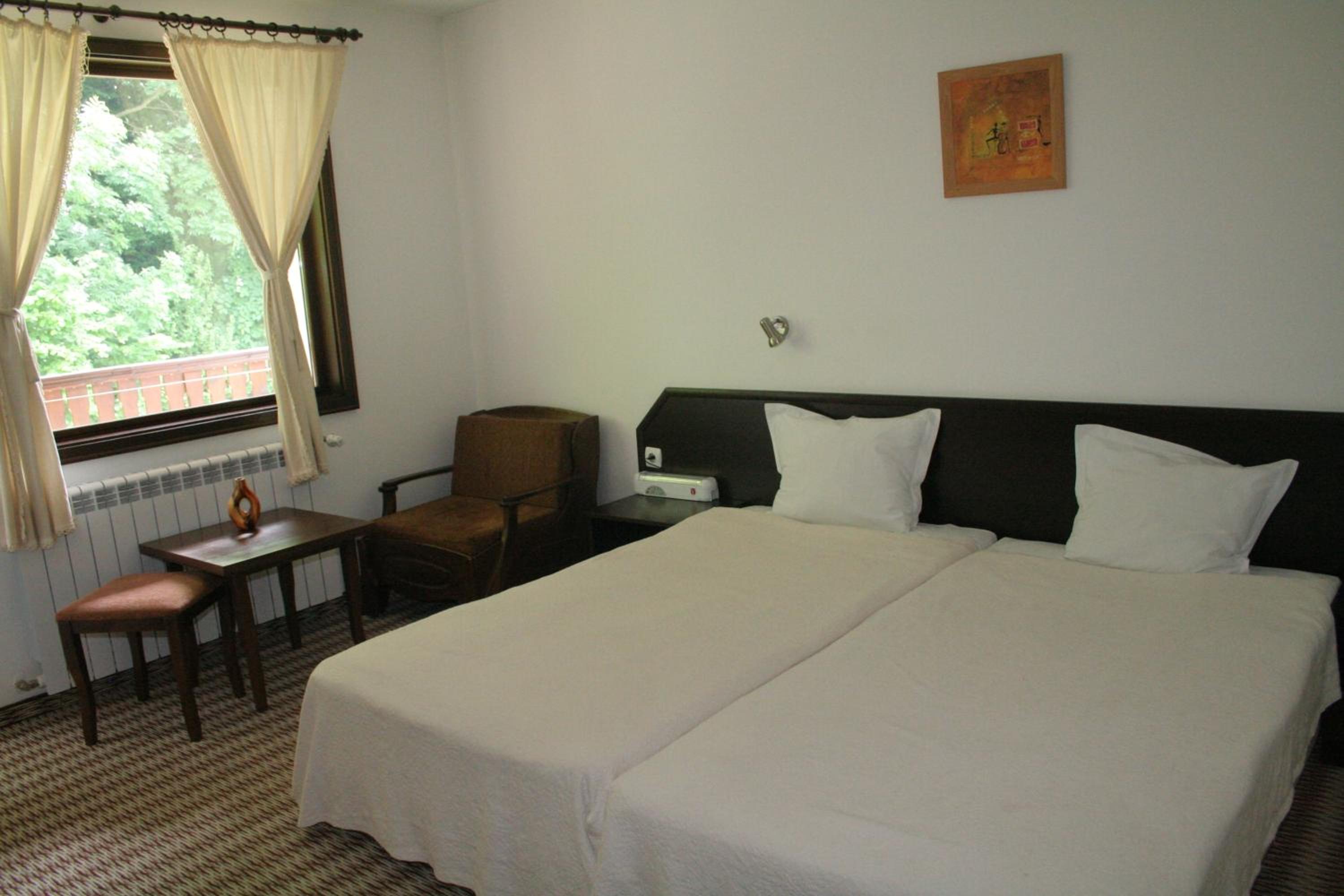Double or Twin Room with Mountain View - Photo 13