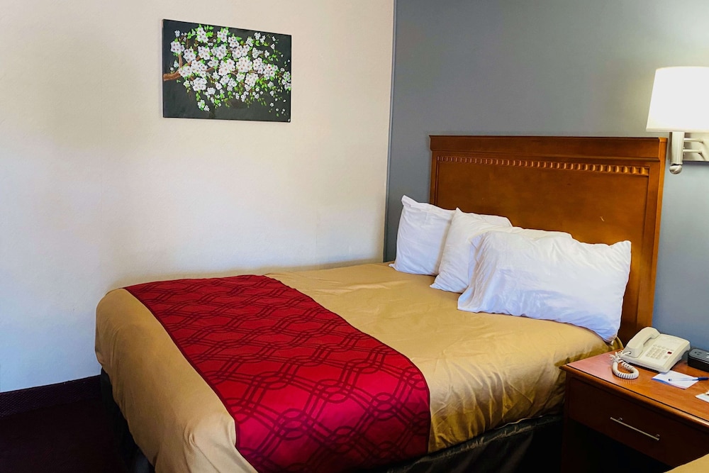 Room, 1 King Bed, Non Smoking photo 1