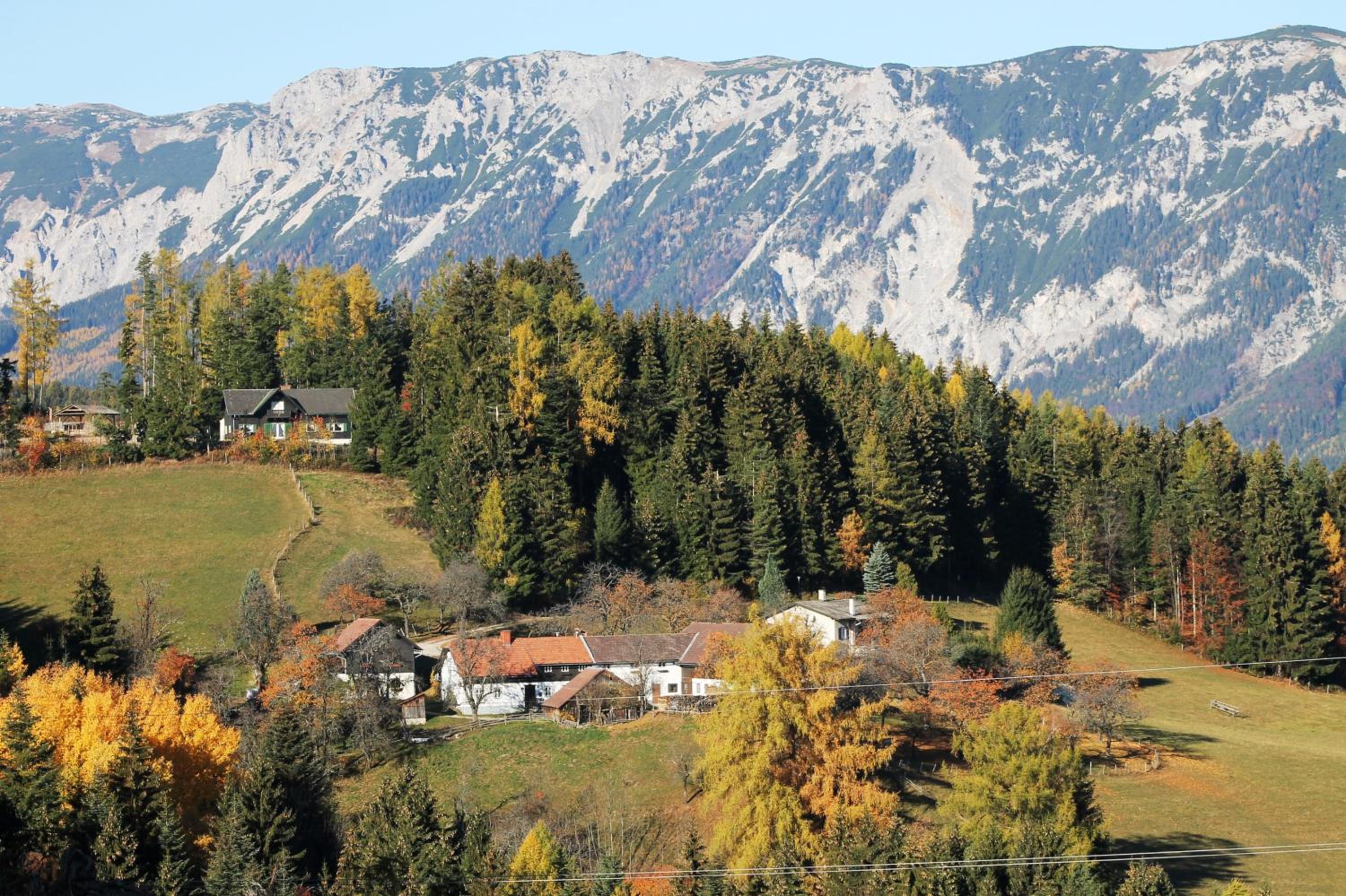 Apartment with Mountain View photo 3