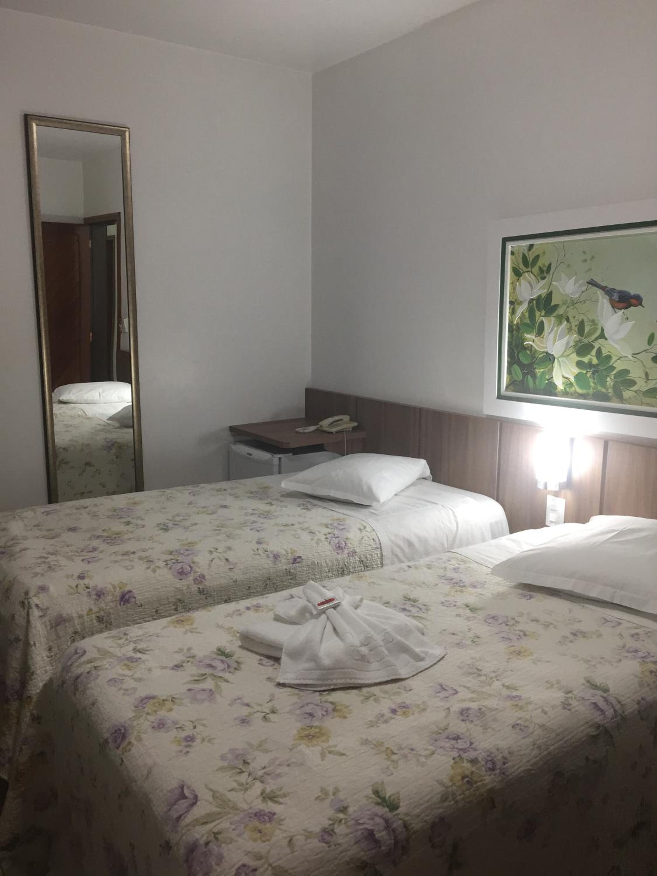 Deluxe Double or Twin Room photo 3