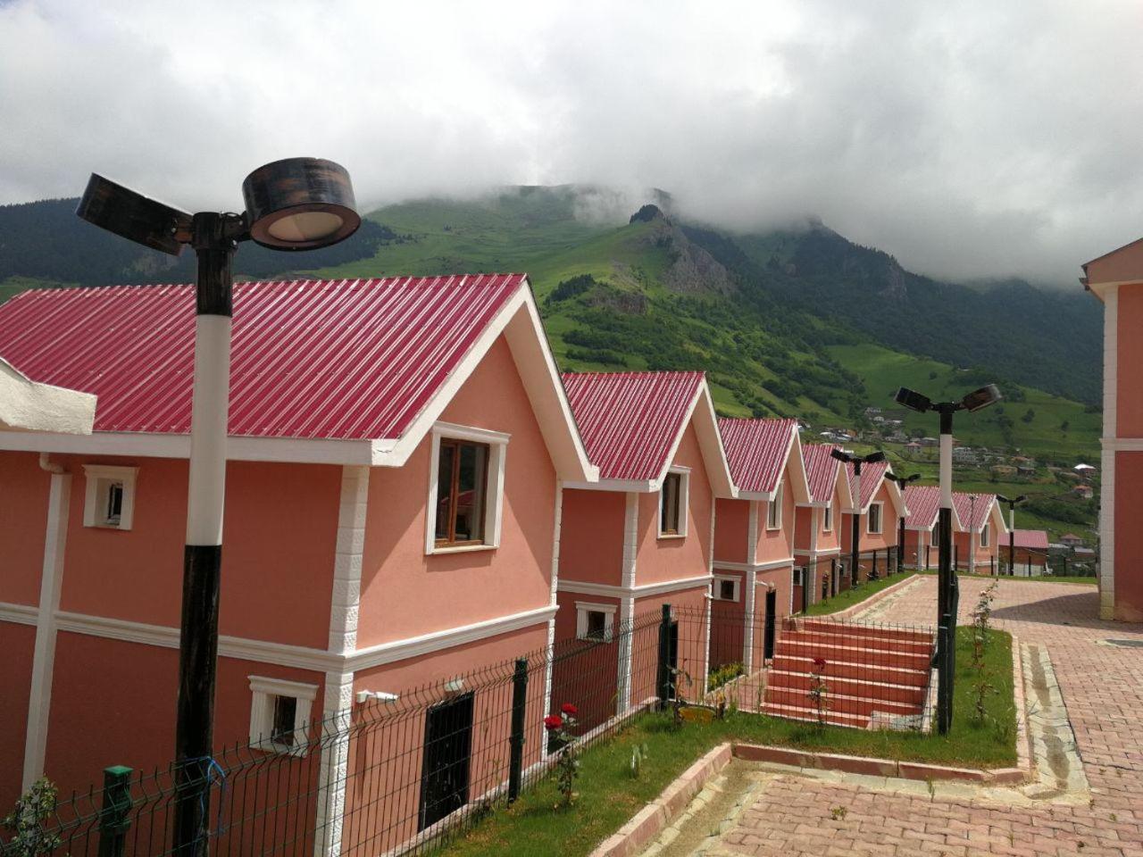 Family Bungalow - Photo 2