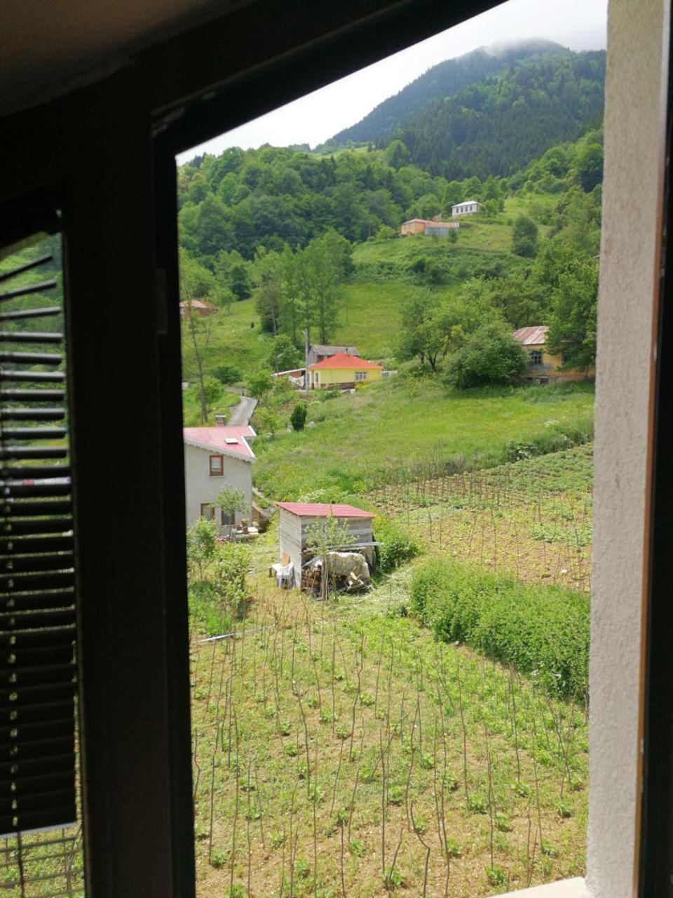 Family Suite - Photo 9