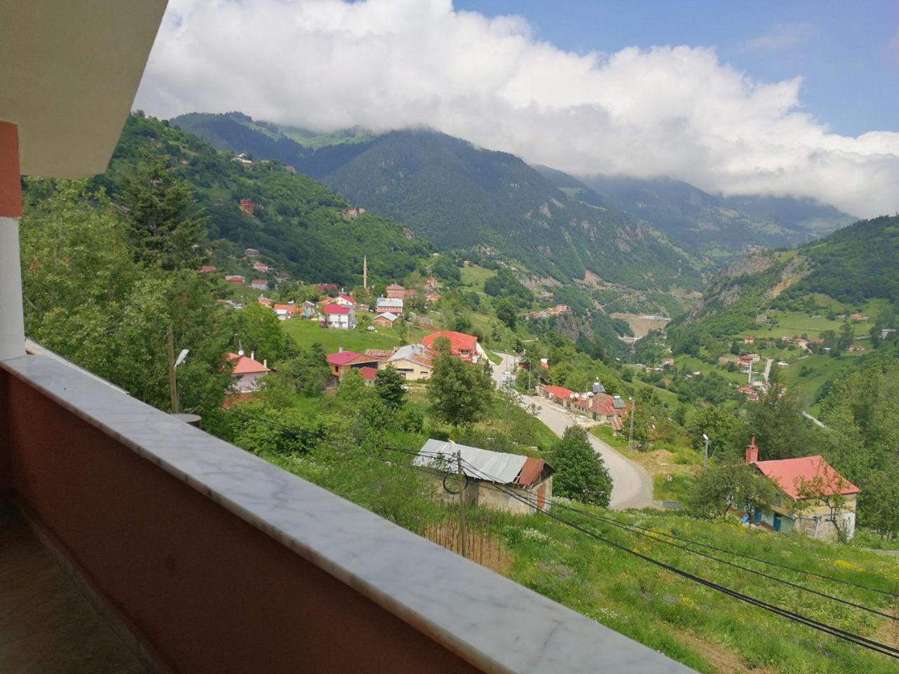 Family Bungalow - Photo 29