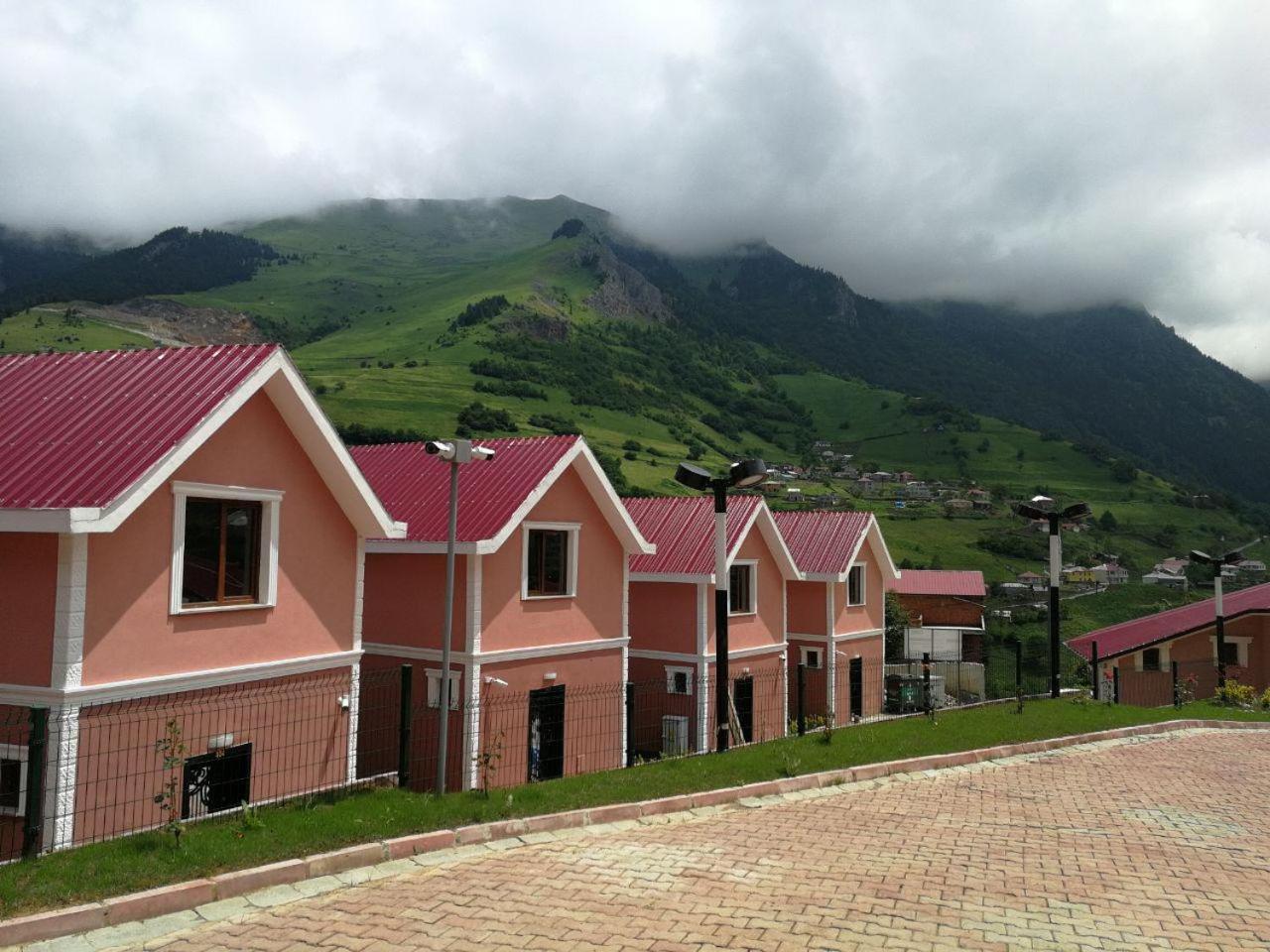 Family Bungalow - Photo 17