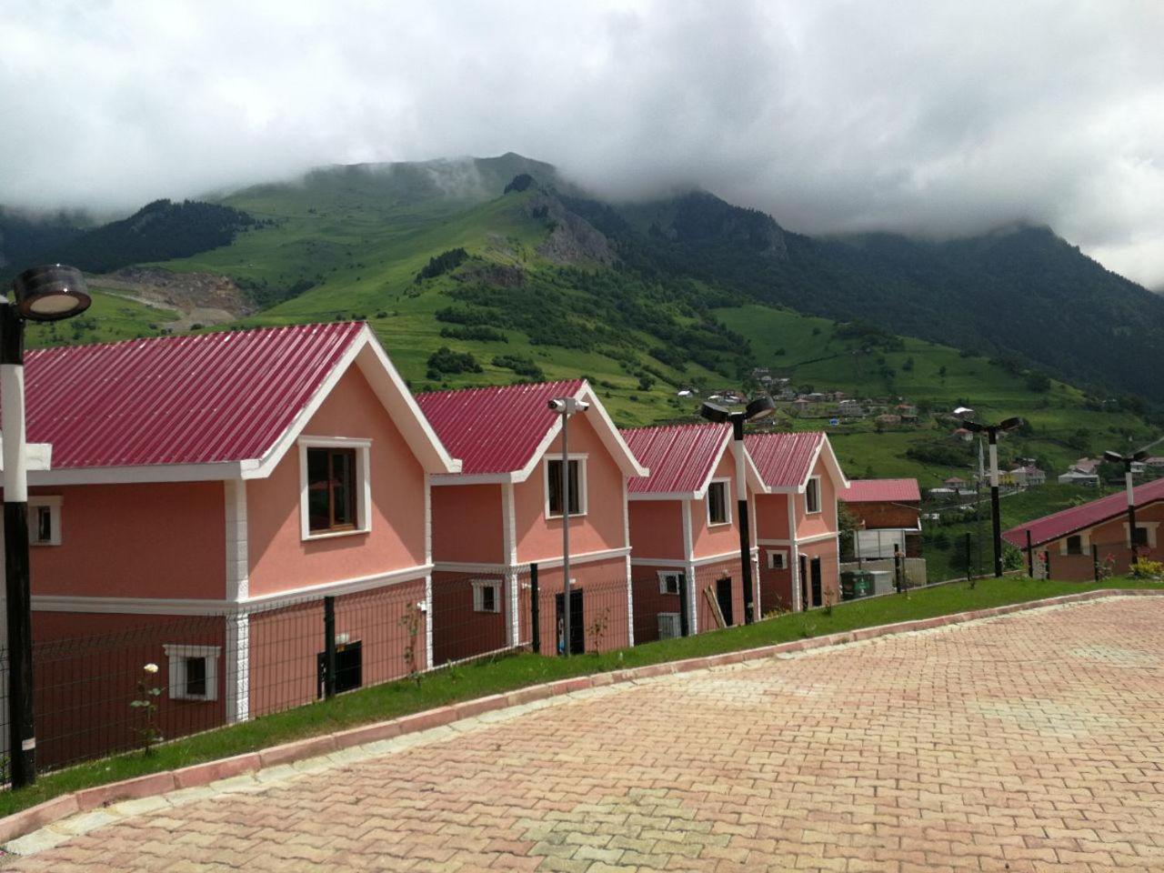 Family Bungalow - Photo 13