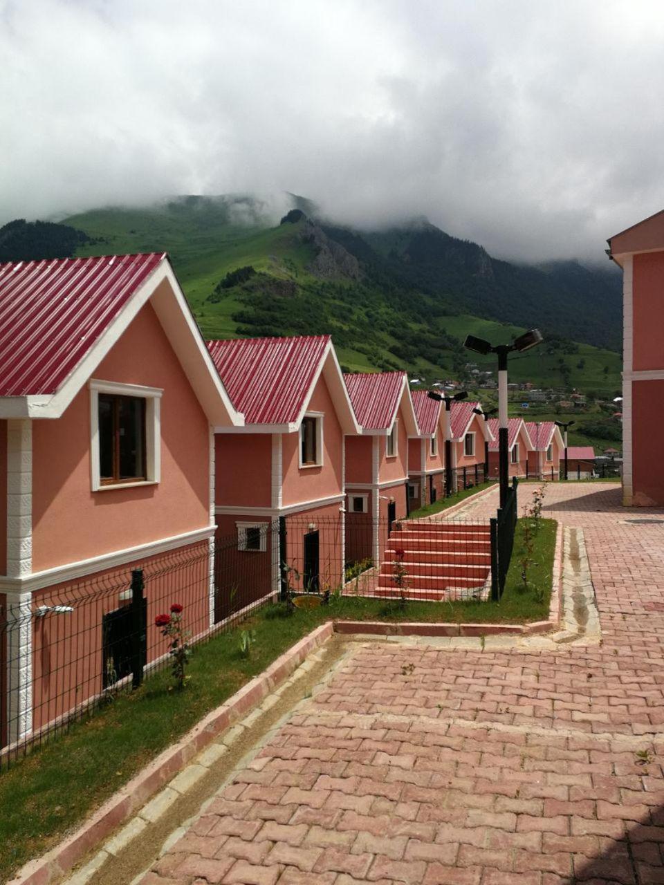 Family Bungalow - Photo 4