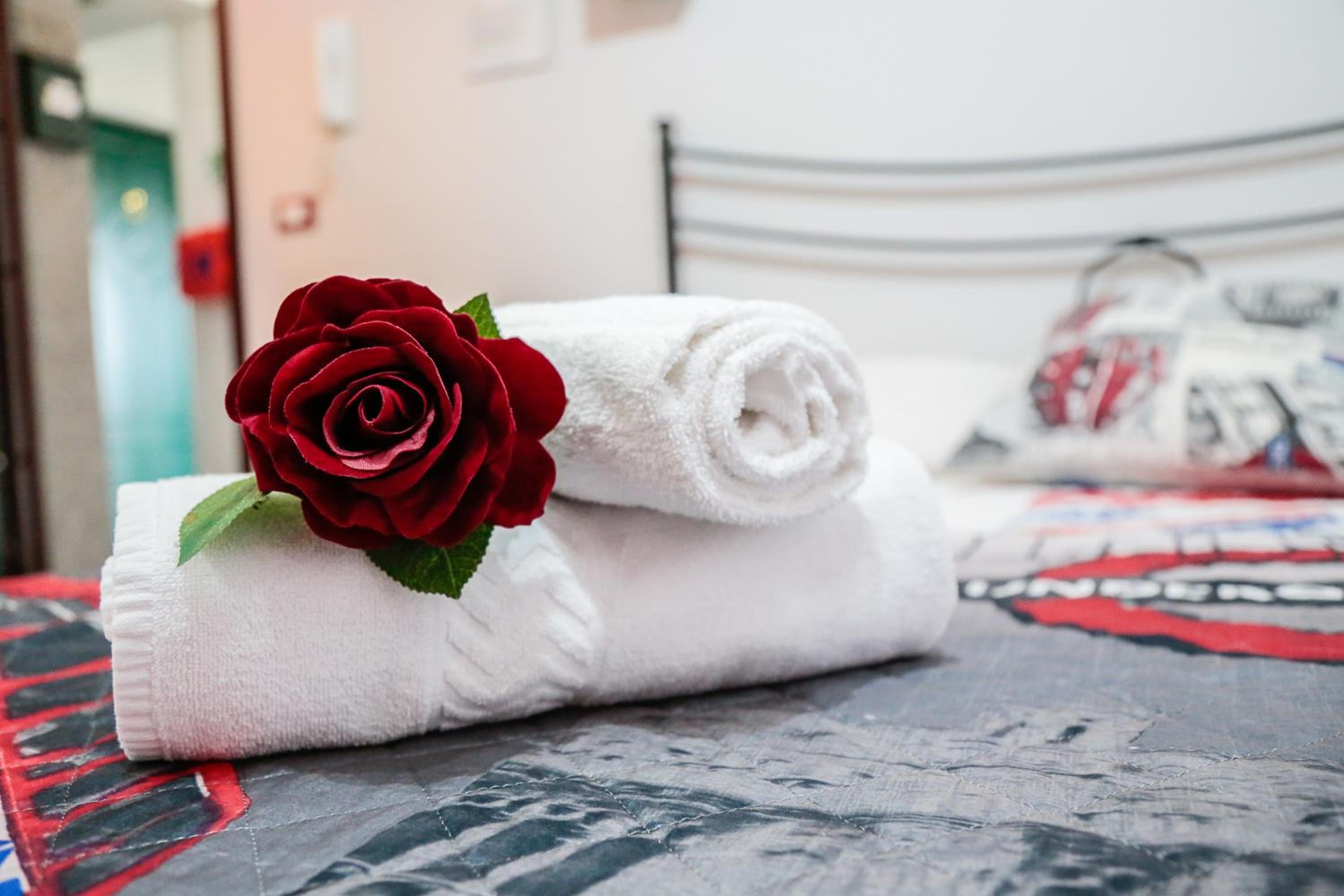Single Room photo 1