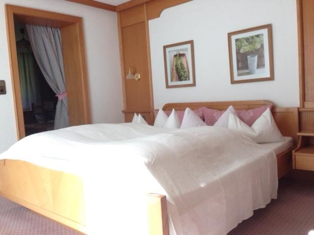 Double Room with Mountain View photo 1