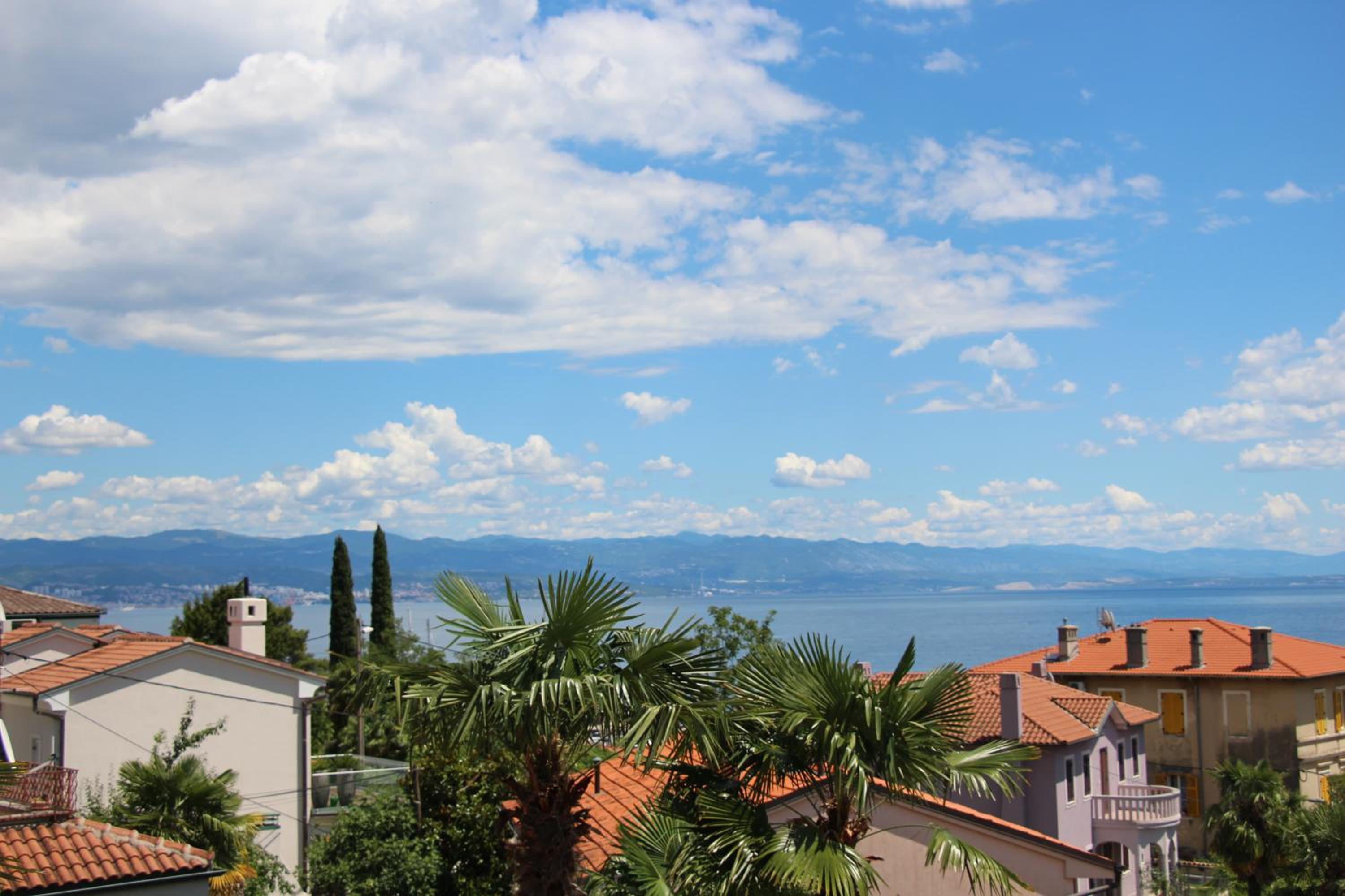 Apartment with Sea View photo 3