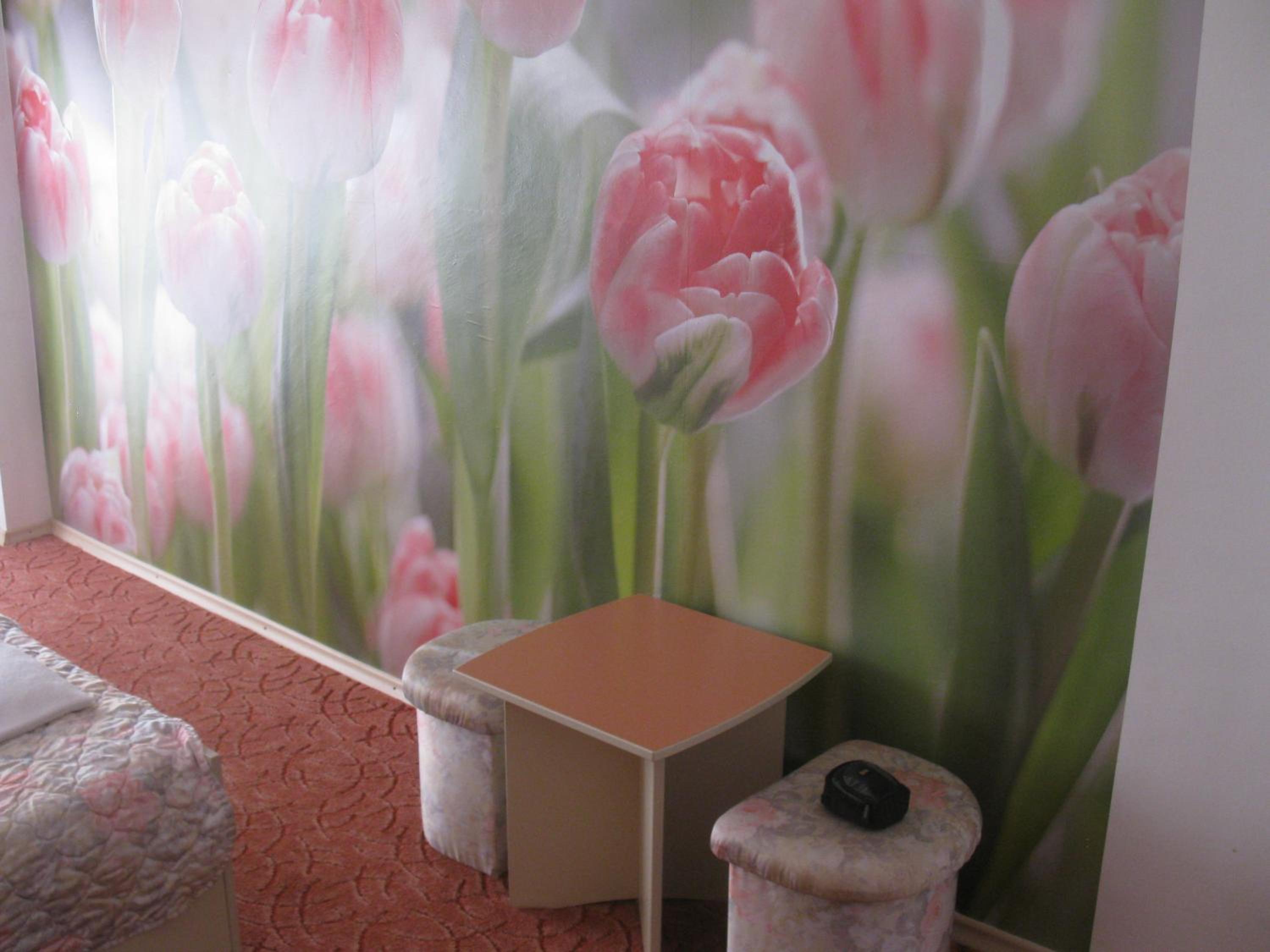 Standard Double or Twin Room - Photo 4