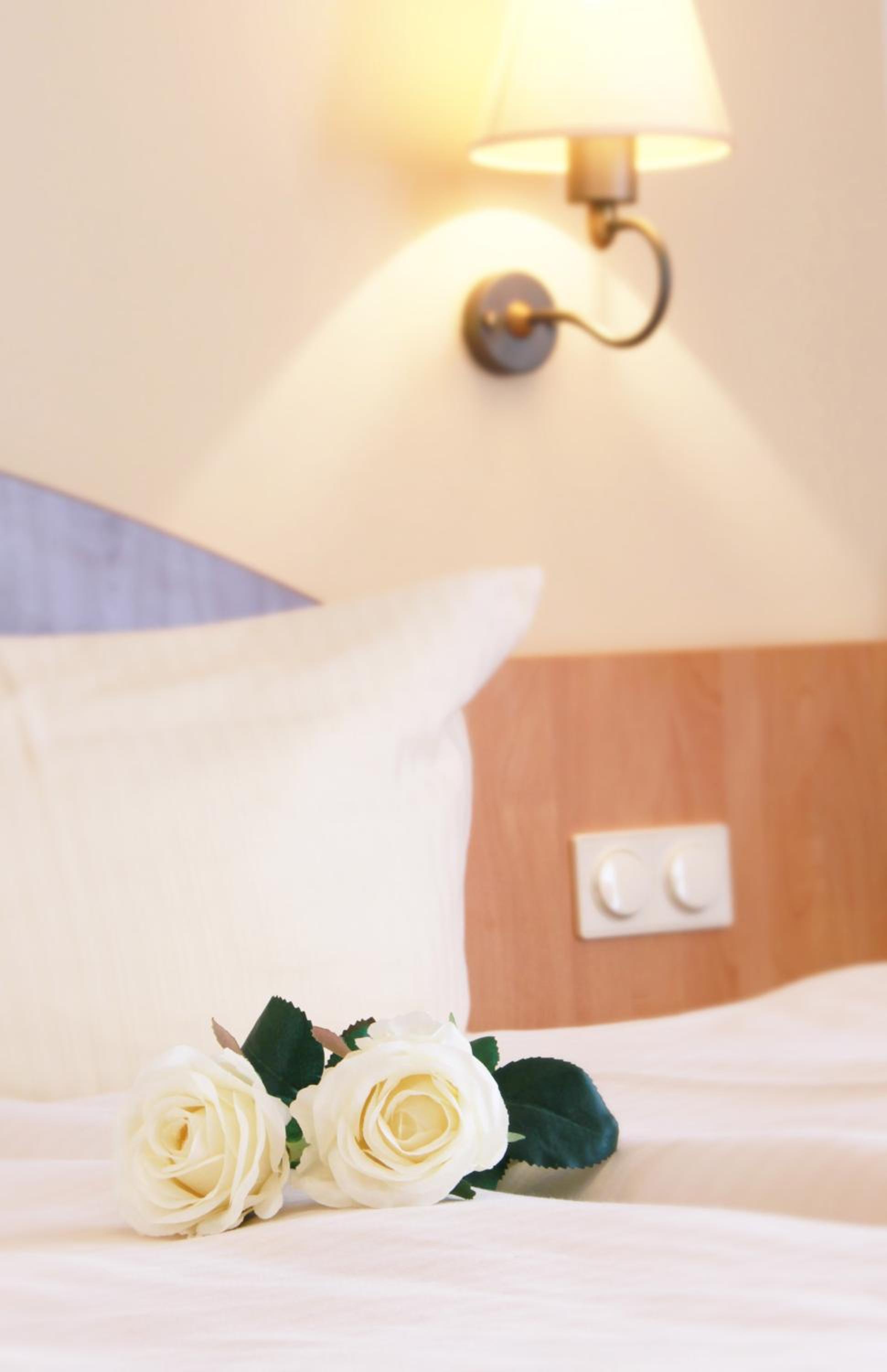Comfort Quadruple Room - Photo 2