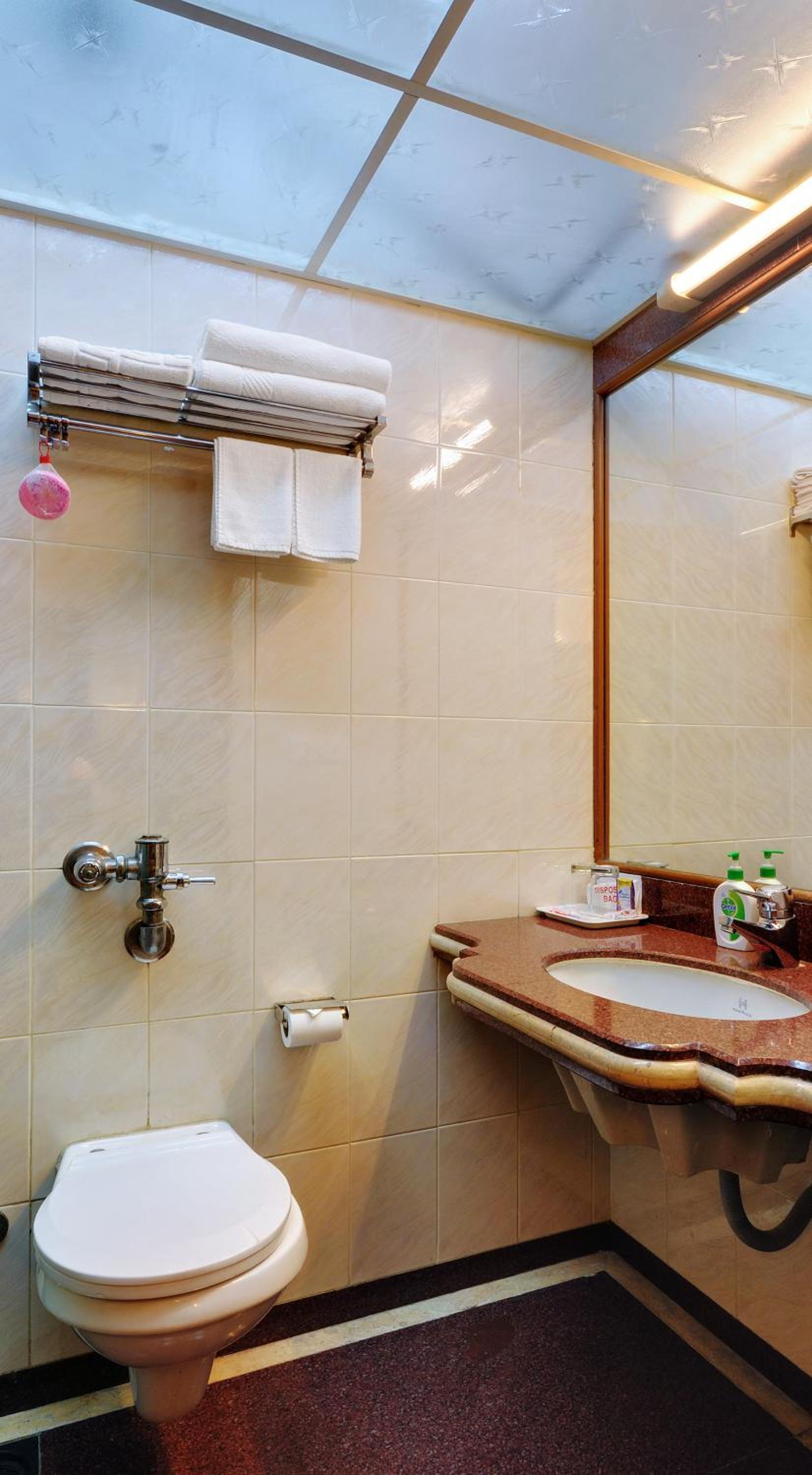 Deluxe Double or Twin Room - Photo 4