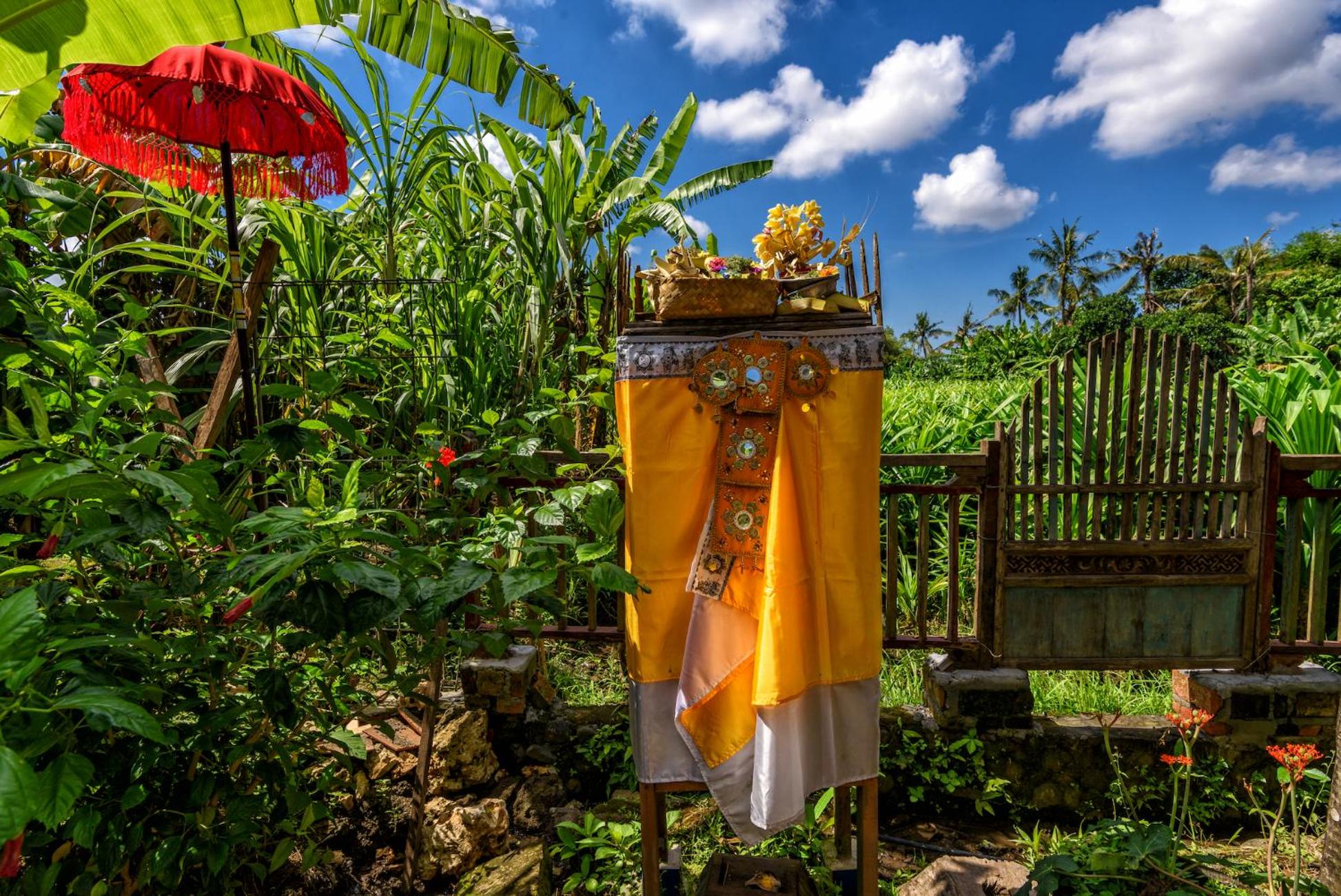Double Room with Garden View - Photo 14